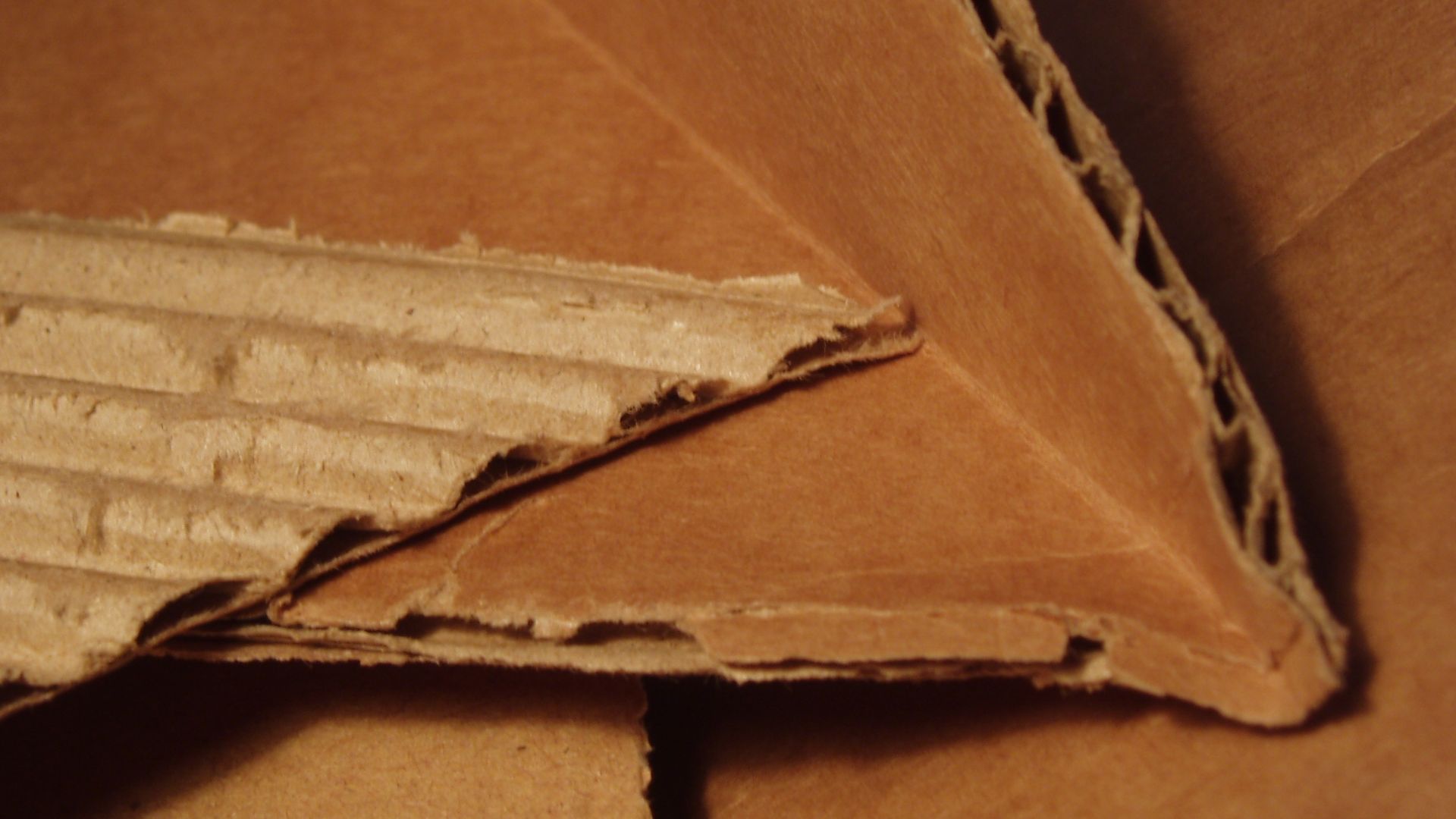 Corrugated cardboard