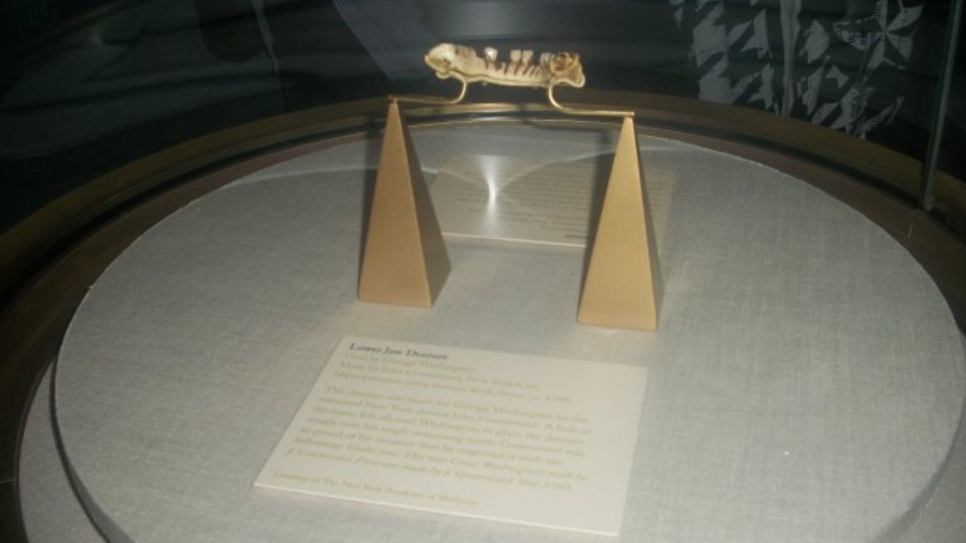 George Washington's Wooden Teeth on display at Mount Vernon in Virginia.
