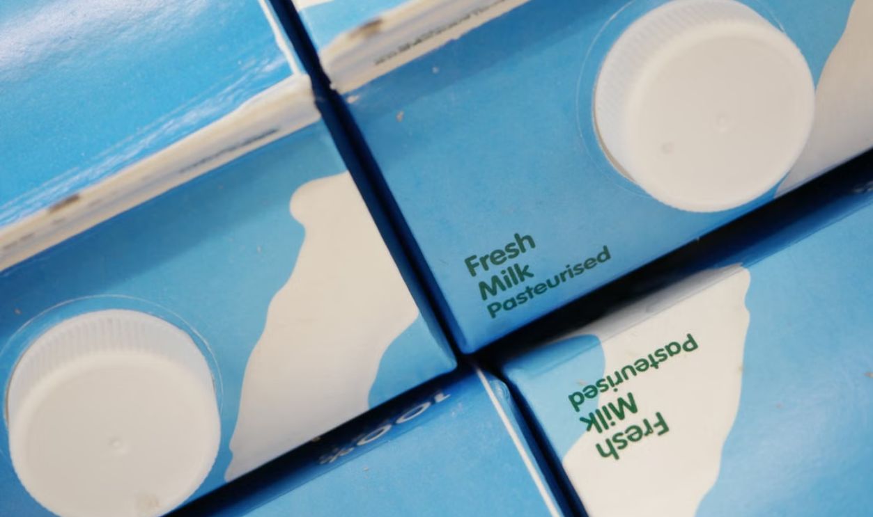 Overhead view of sealed fresh milk cartons, highlighting pasteurization
