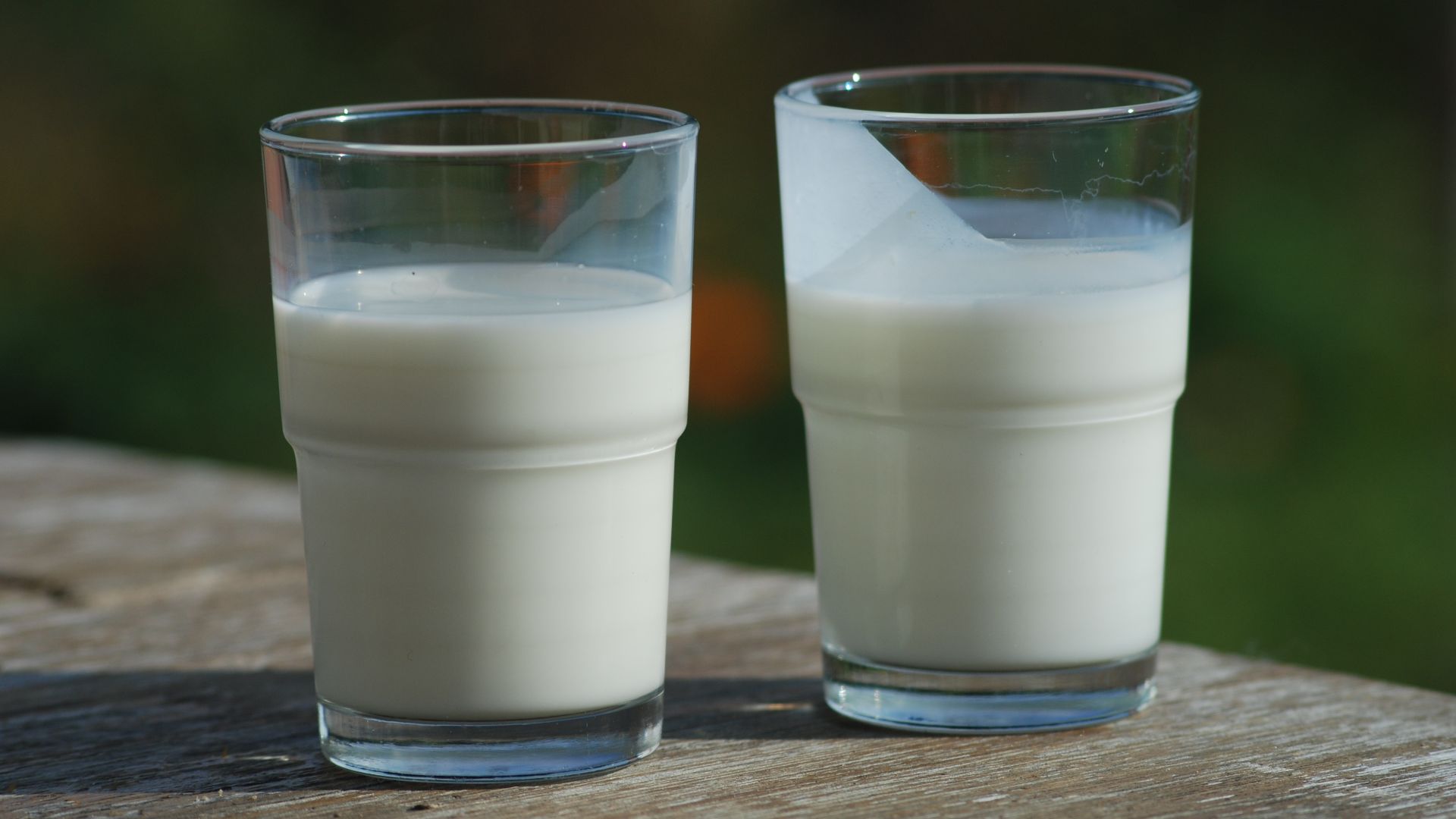 A glass of milk (left) and a glass of buttermilk (right). Buttermilk is thicker and covers the glass after taking a sip.