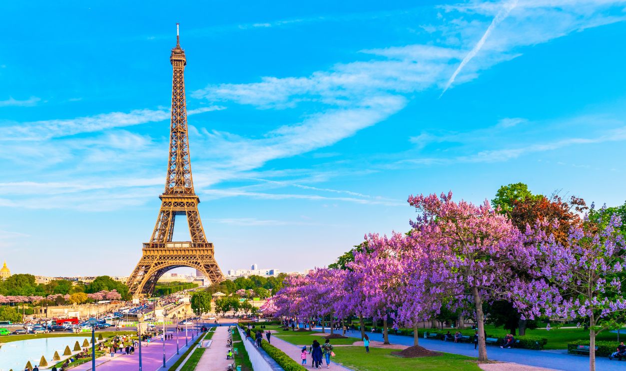 Eiffel Tower with Magnolia flowers. Spring view on Paris, France.