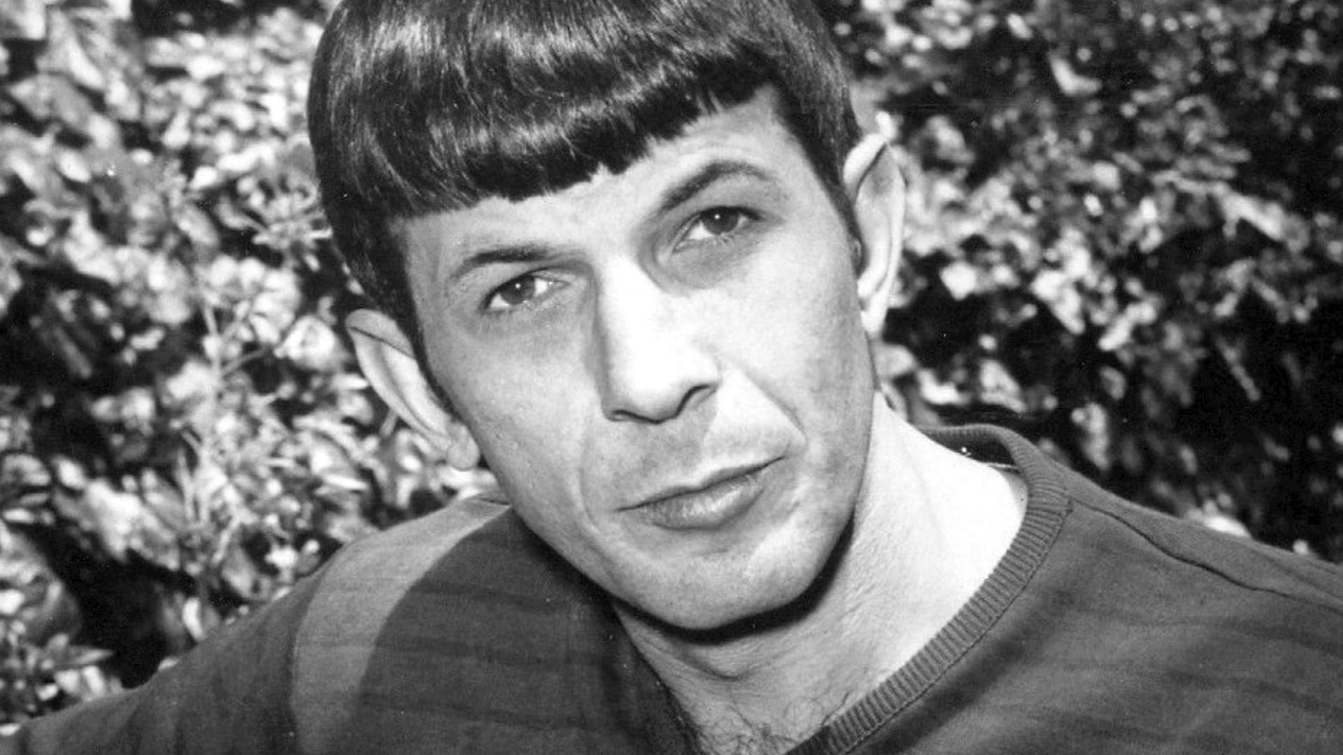 Photo of Leonard Nimoy.