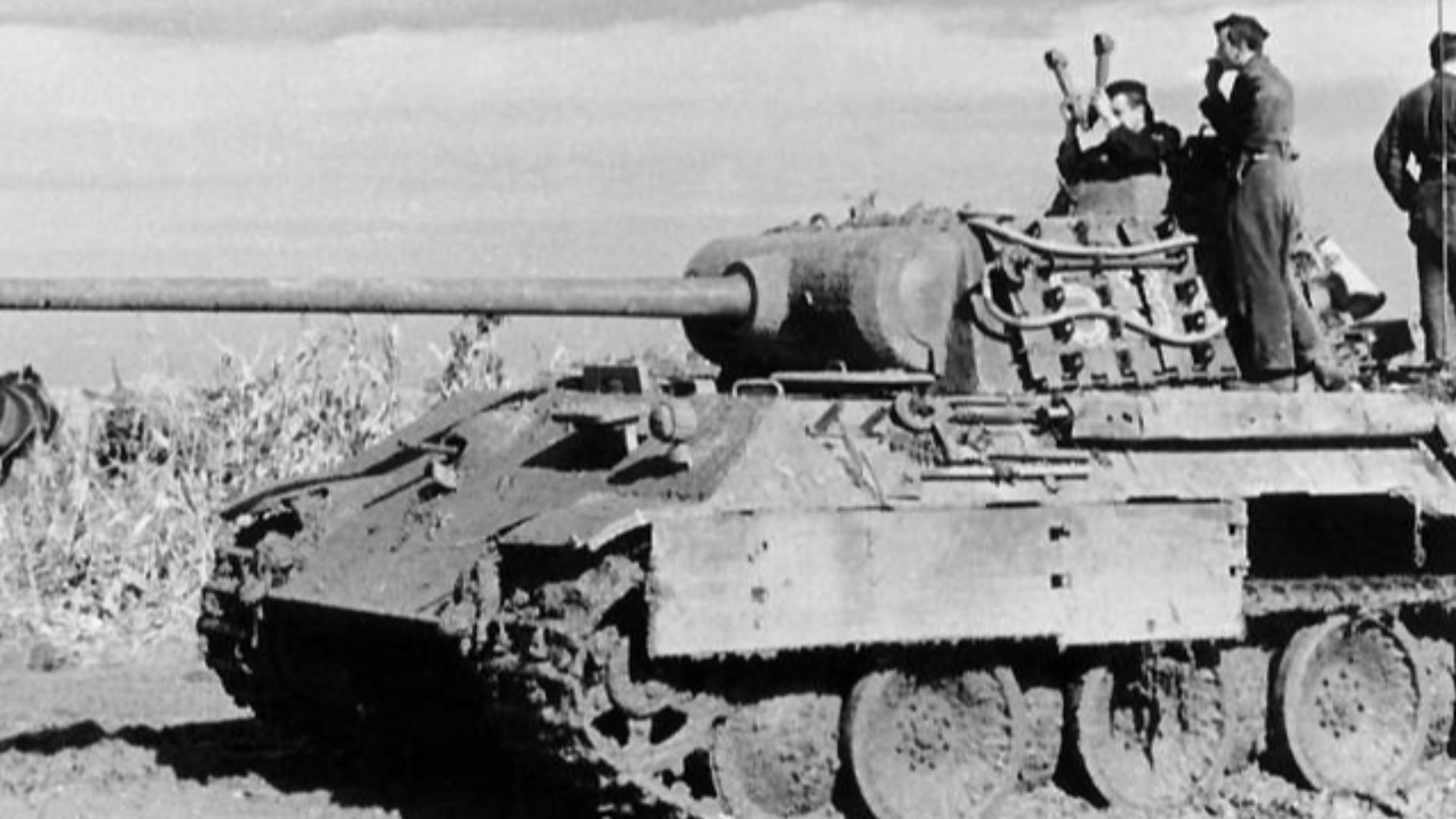 File:Bundesarchiv Bild 101I-244-2321-34, Ostfront-Süd, Panzer V (Panther).jpg