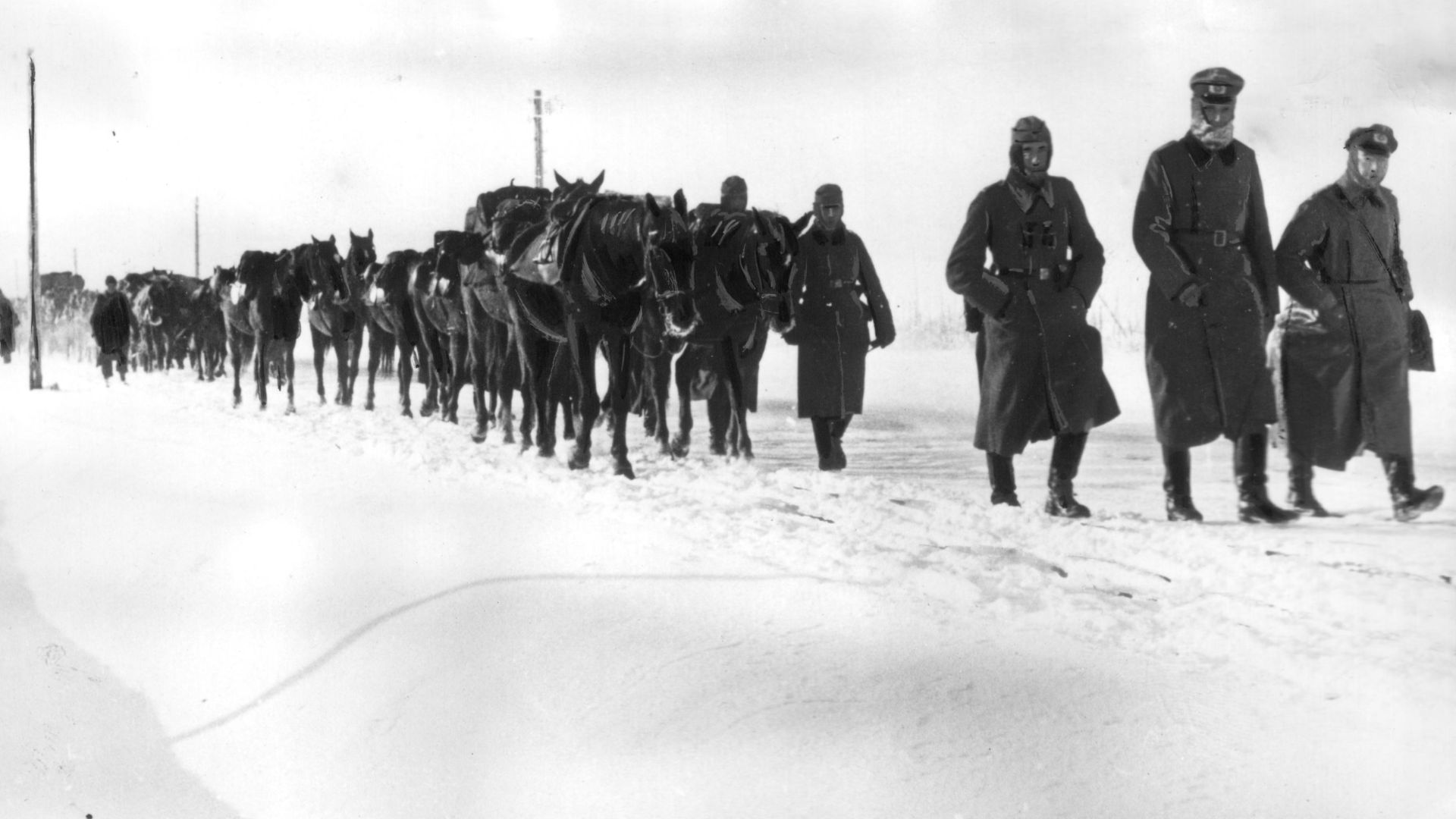 Piechota niemiecka z taborami konnymi w marszu na Leningrad po ośnieżonej drodze.