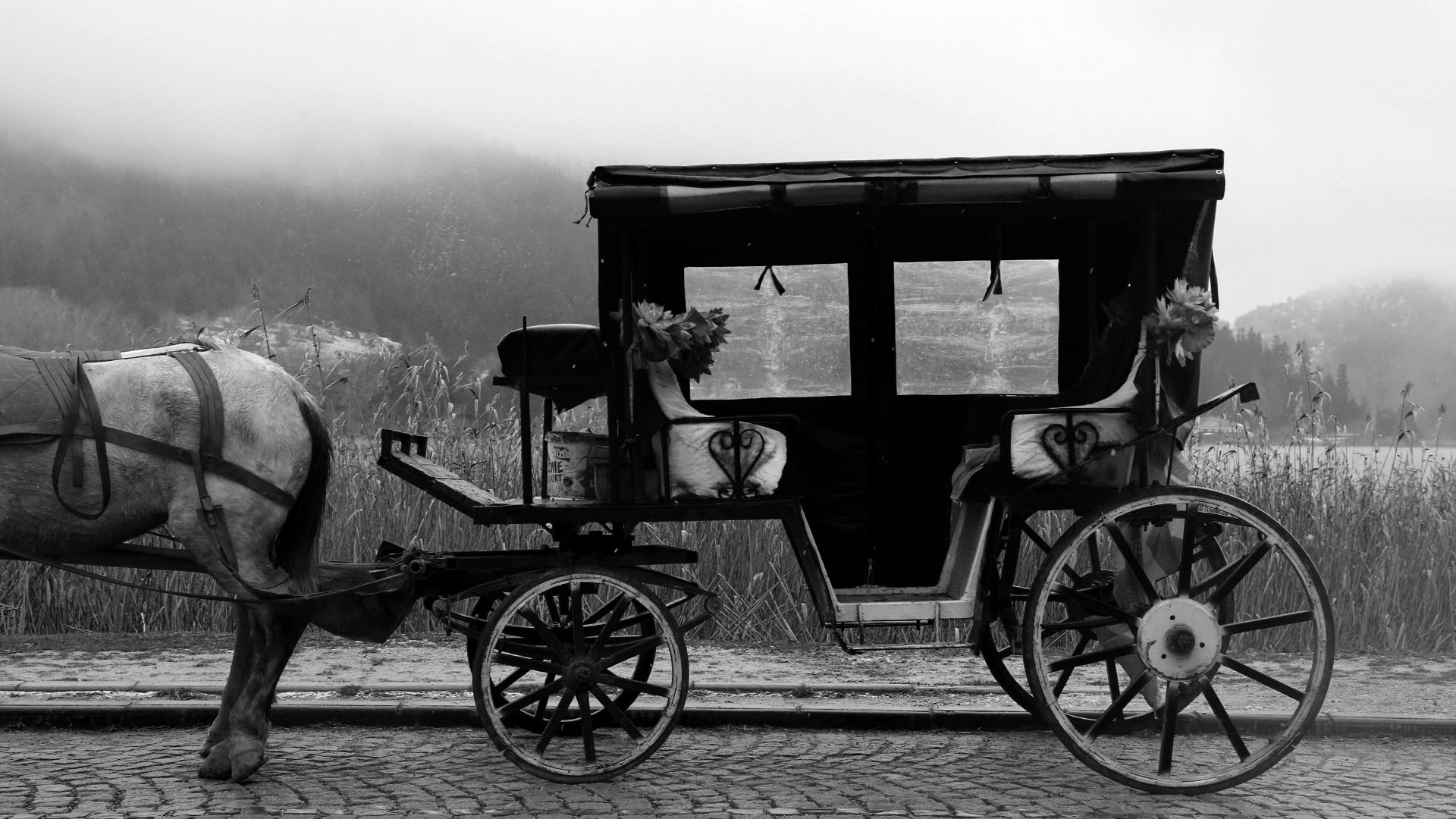Monochrome photo of an antique horse-drawn carriage on a foggy street.
