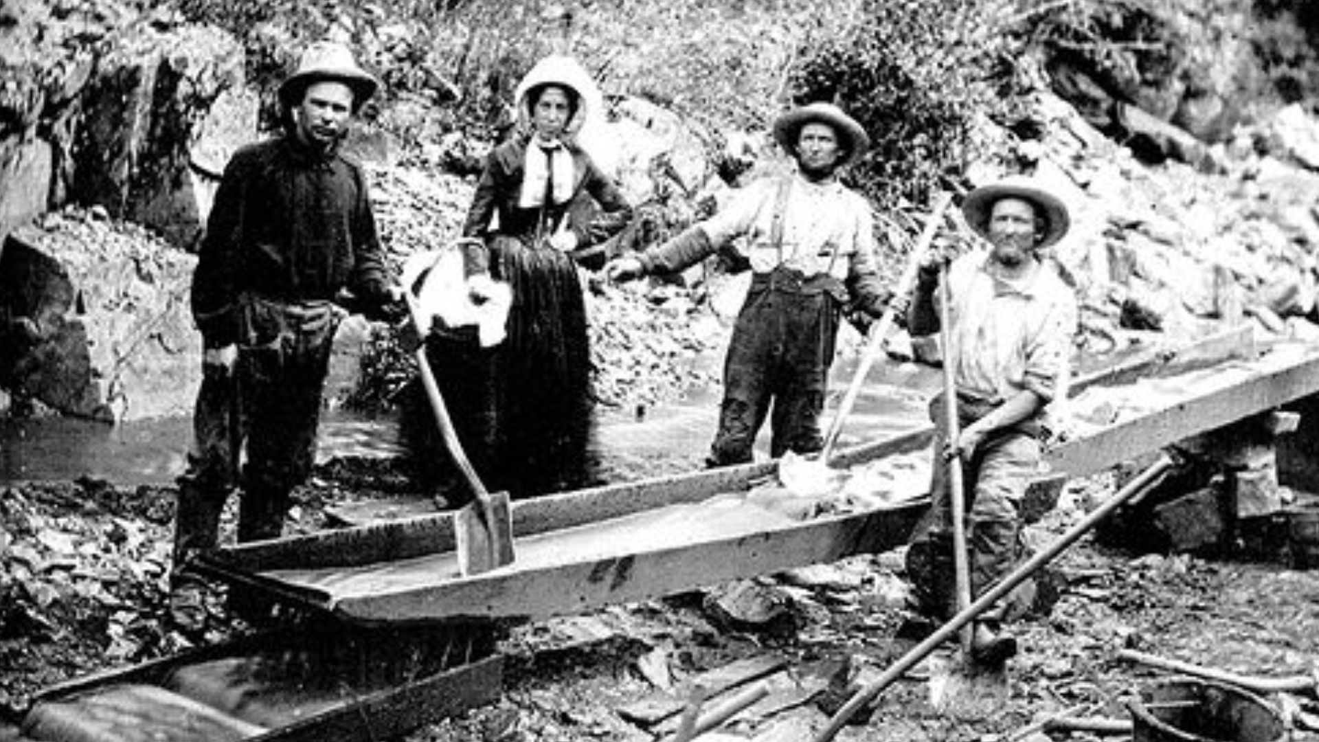 Three men and one woman panning for gold during the California Gold Rush