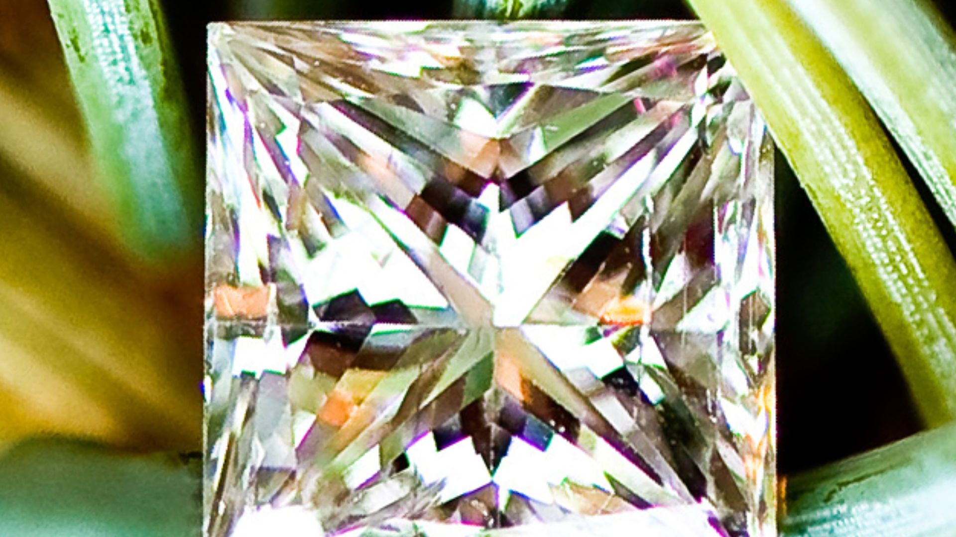 Princess cut diamond on a spruce twig. By Boise Diamonds - 4750705838