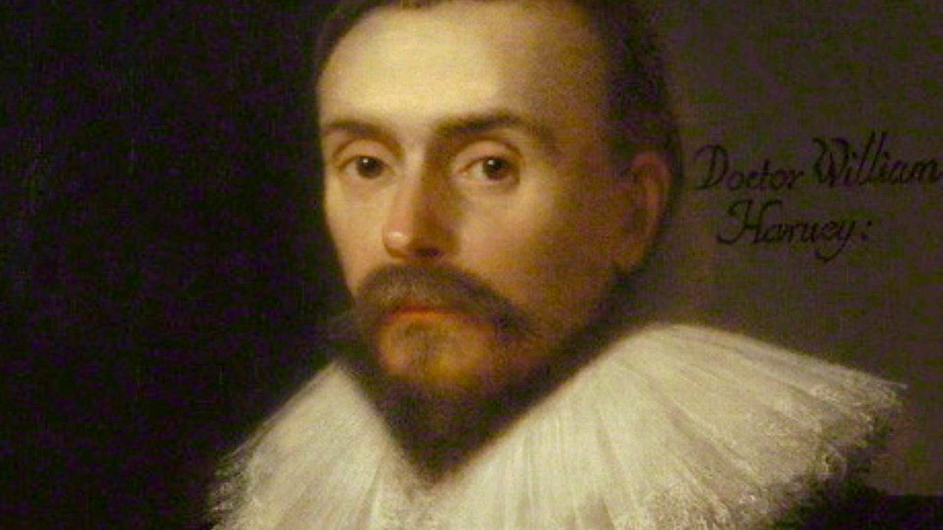 File:William Harvey 2.jpg