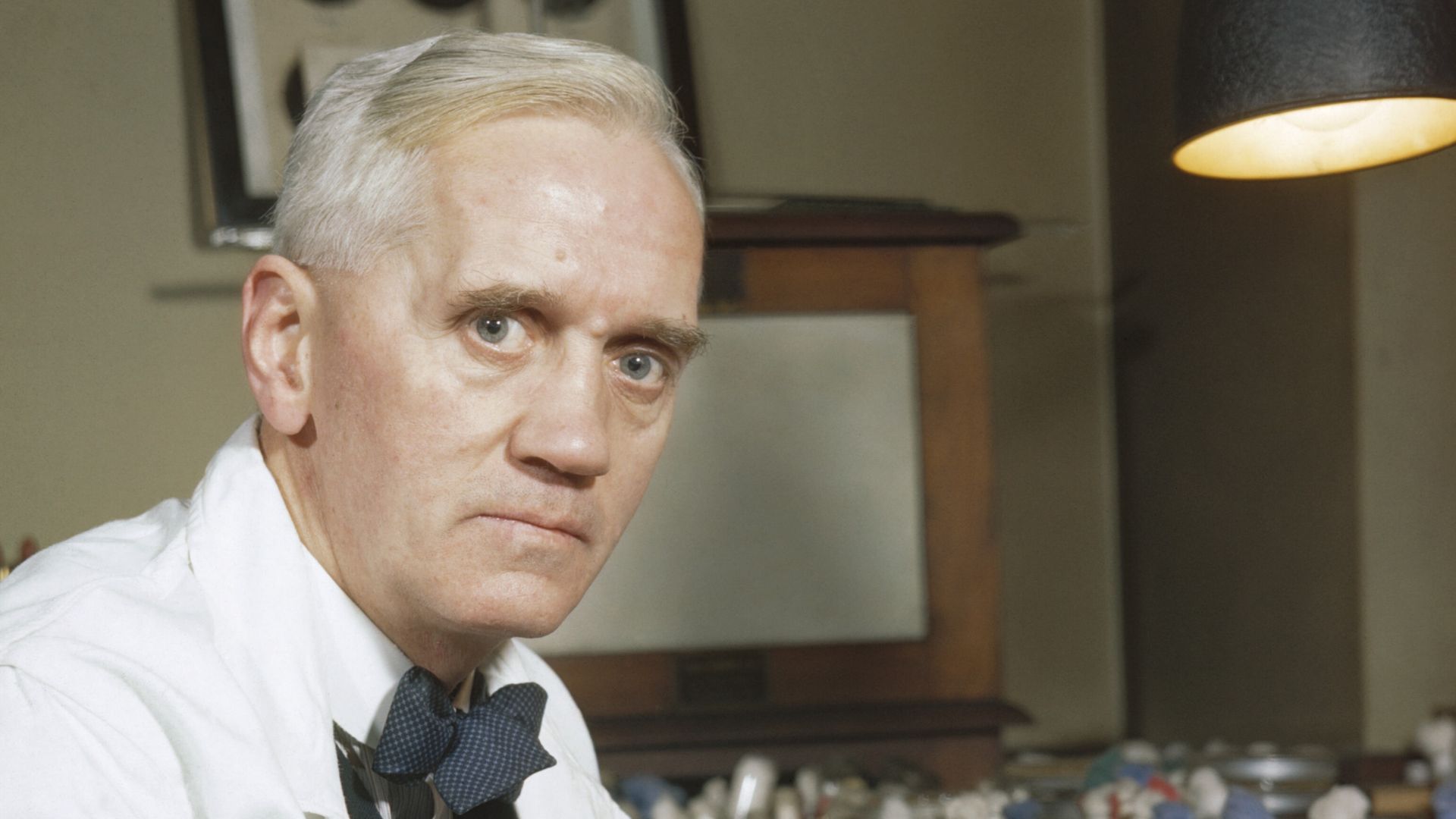 Synthetic Production of Penicillin
Professor Alexander Fleming, holder of the Chair of Bacteriology at London University, who first discovered the mould Penicillin Notatum. Here in his laboratory at St Mary's, Paddington, London (1943).