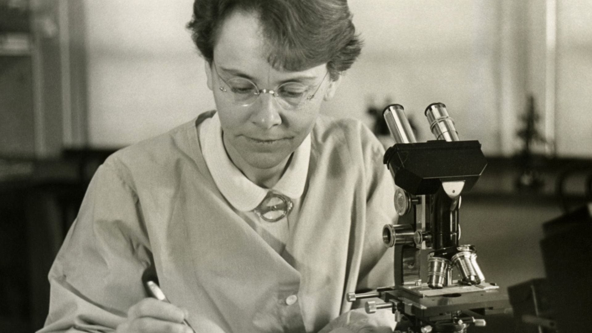 Barbara McClintock (1902-1992), Department of Genetics, Carnegie Institution at Cold Spring Harbor, New York, shown in her laboratory. This photograph was distributed when McClintock received the American Association of University Women Achievement Award 