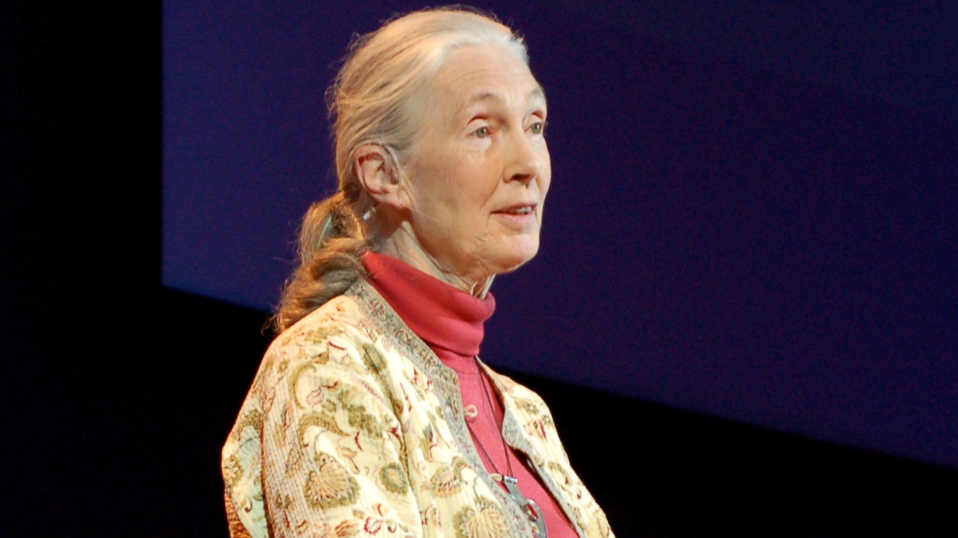 Jane Goodall, britische Verhaltensforscherin, auf der TEDGlobal 2007 in Arusha, Tansania