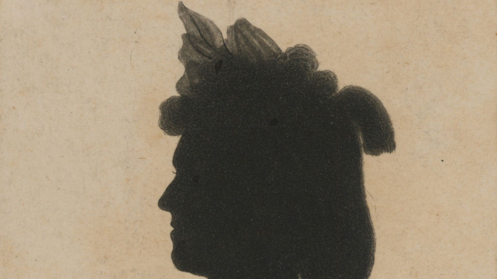 Silhouette profile of a person with elaborate headwear