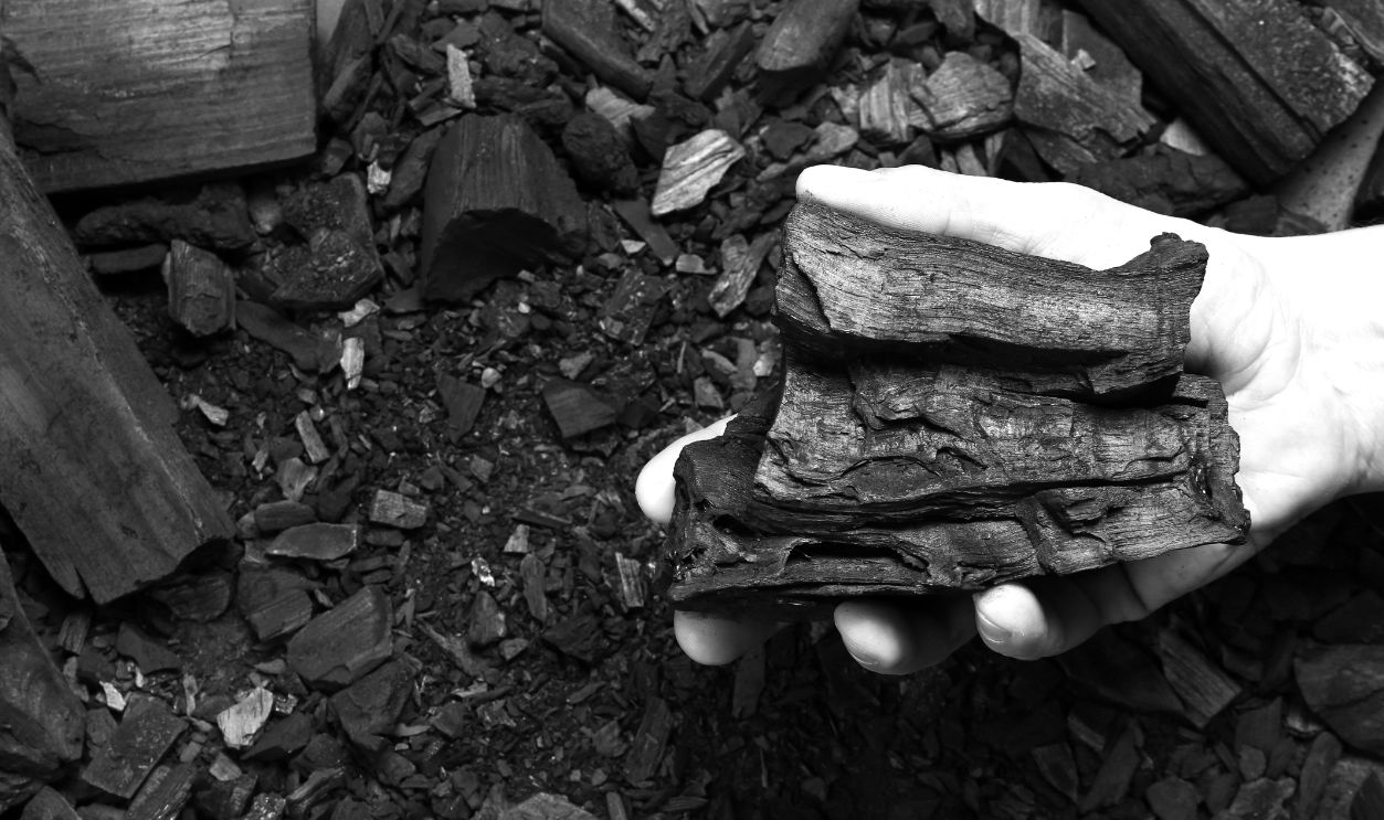 Hand of miner holding charcoal, closeup