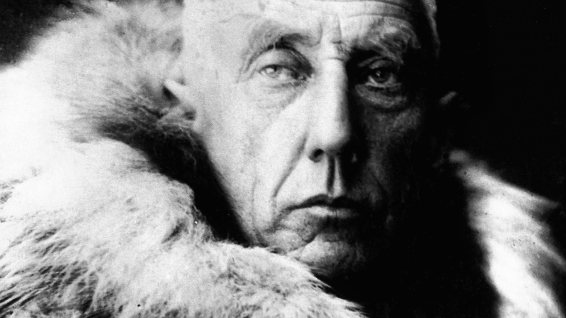 Roald Amundsen (1872-1928) in fur