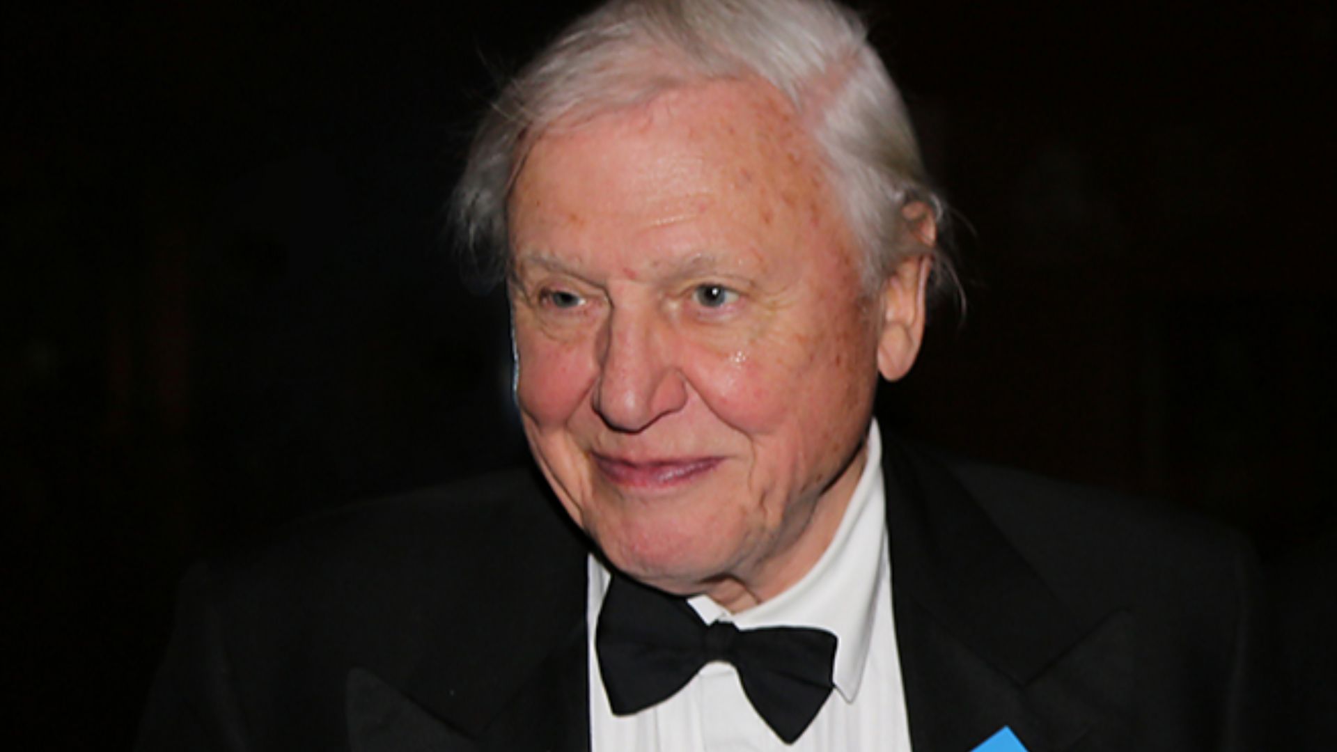 Sir David Attenborough and Bence Mate met at the 50th BBC Wildlife Photographer of the Year competition in the Natural History Museum/London