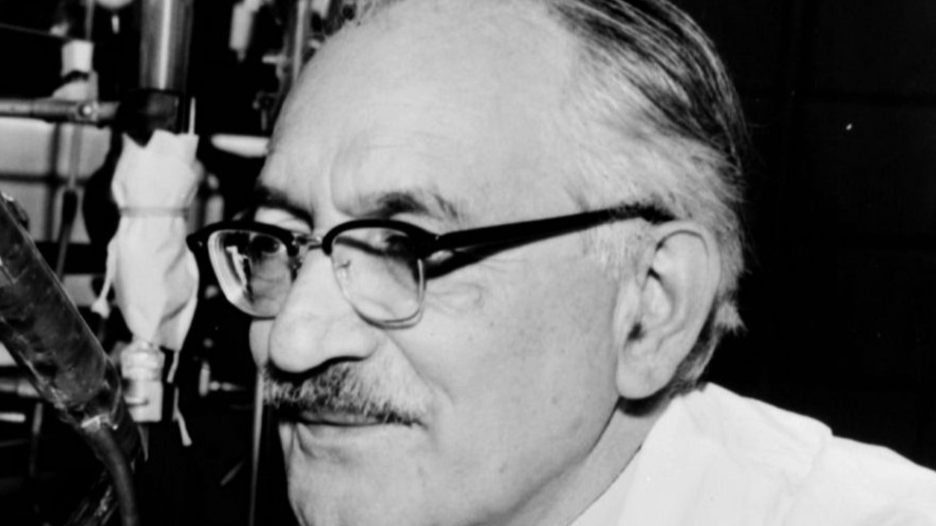 Dr. Selman Waksman, half-length portrait, facing left at work in the laboratory / World Telegram & Sun photo by Roger Higgins.