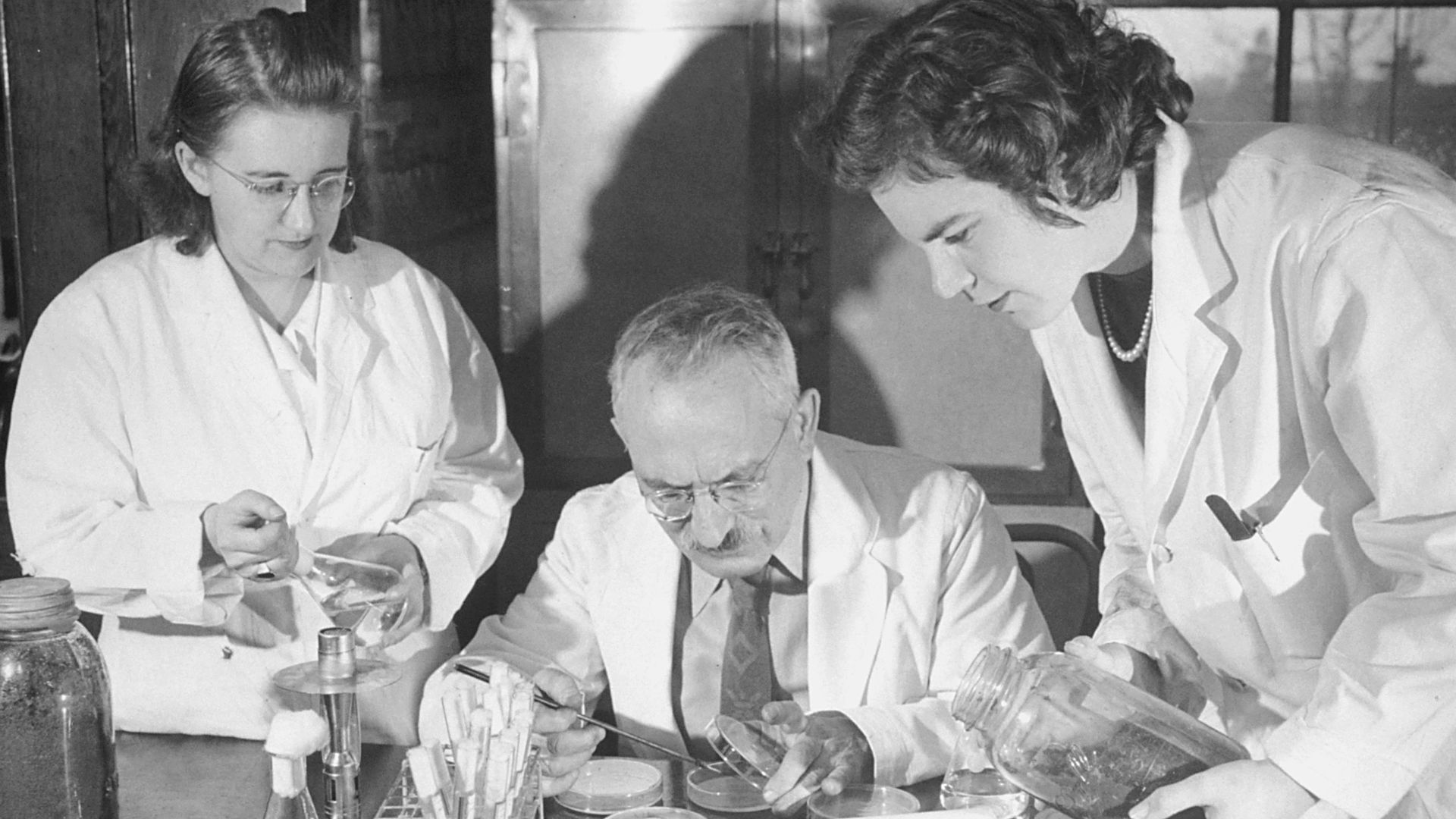 Title Waksman, Selman
Description Selman Waksman and two female associates testing Streptomycin, a bacterial antibiotic produced by the soil actinomycete - chiefly used in the treatment of tuberculosis. New Jersey Agriculture Experimental Station at Rutge