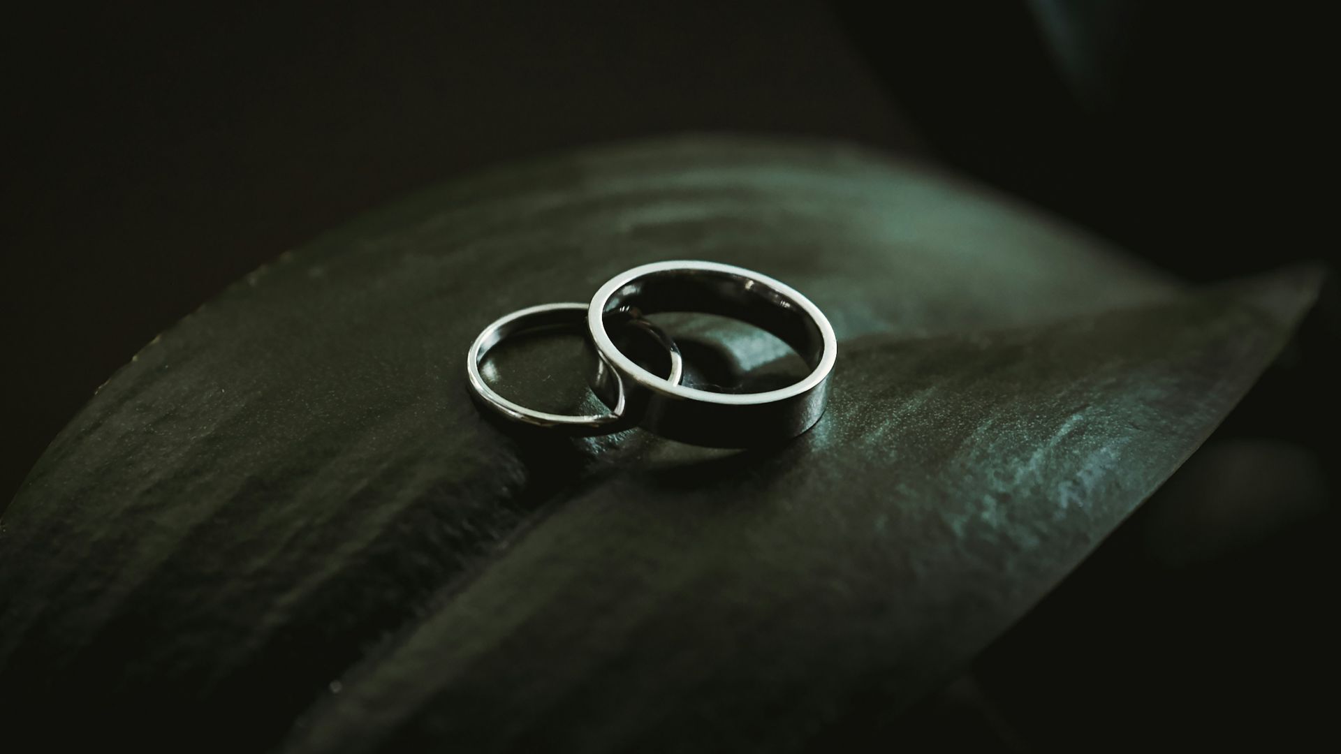 silver-colored rings
