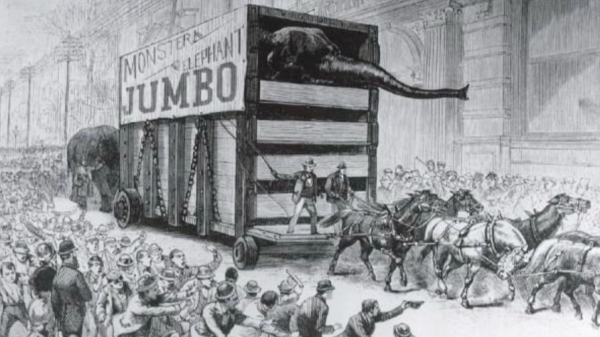 Jumbo's arrival in New York