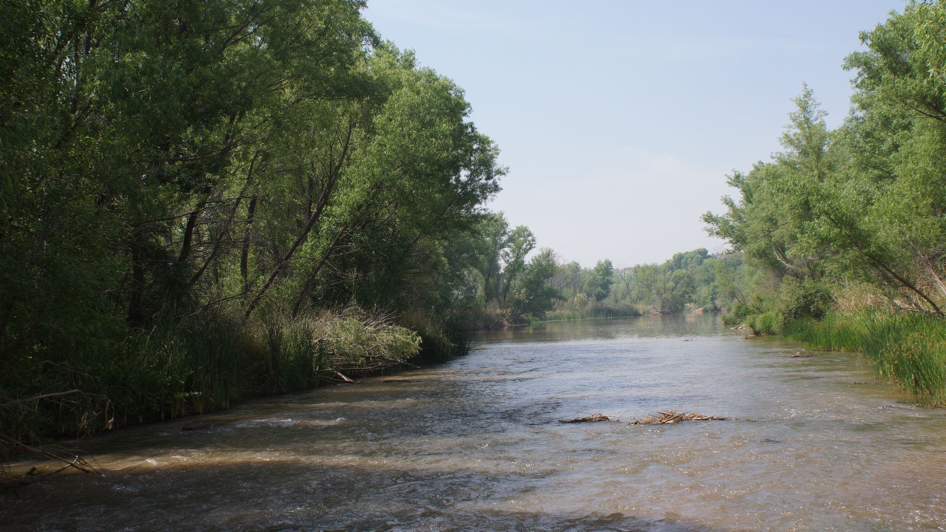 2014, On the Rio Verde