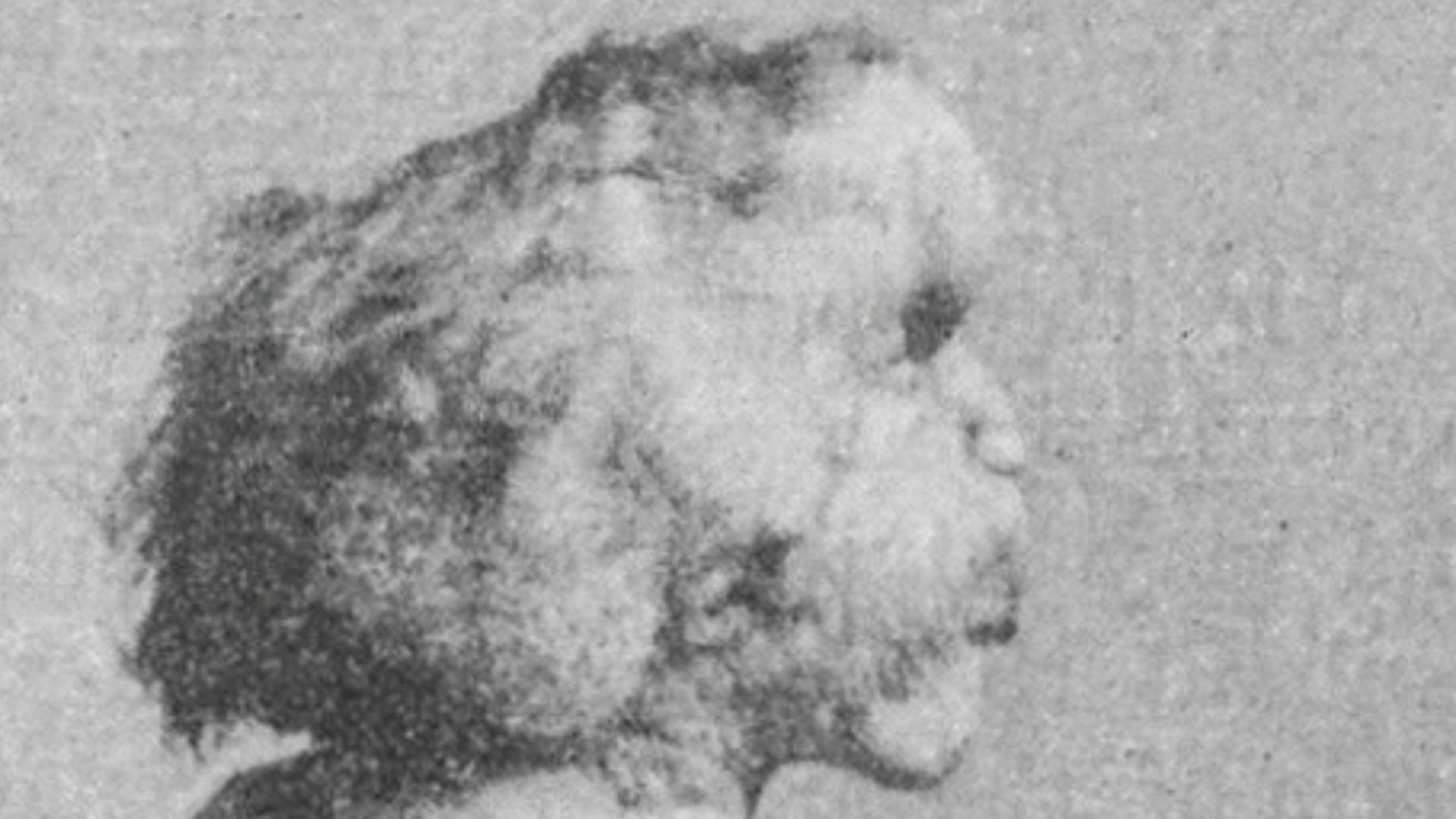 A photograph of Joseph Merrick (1862–1890), sometimes called the