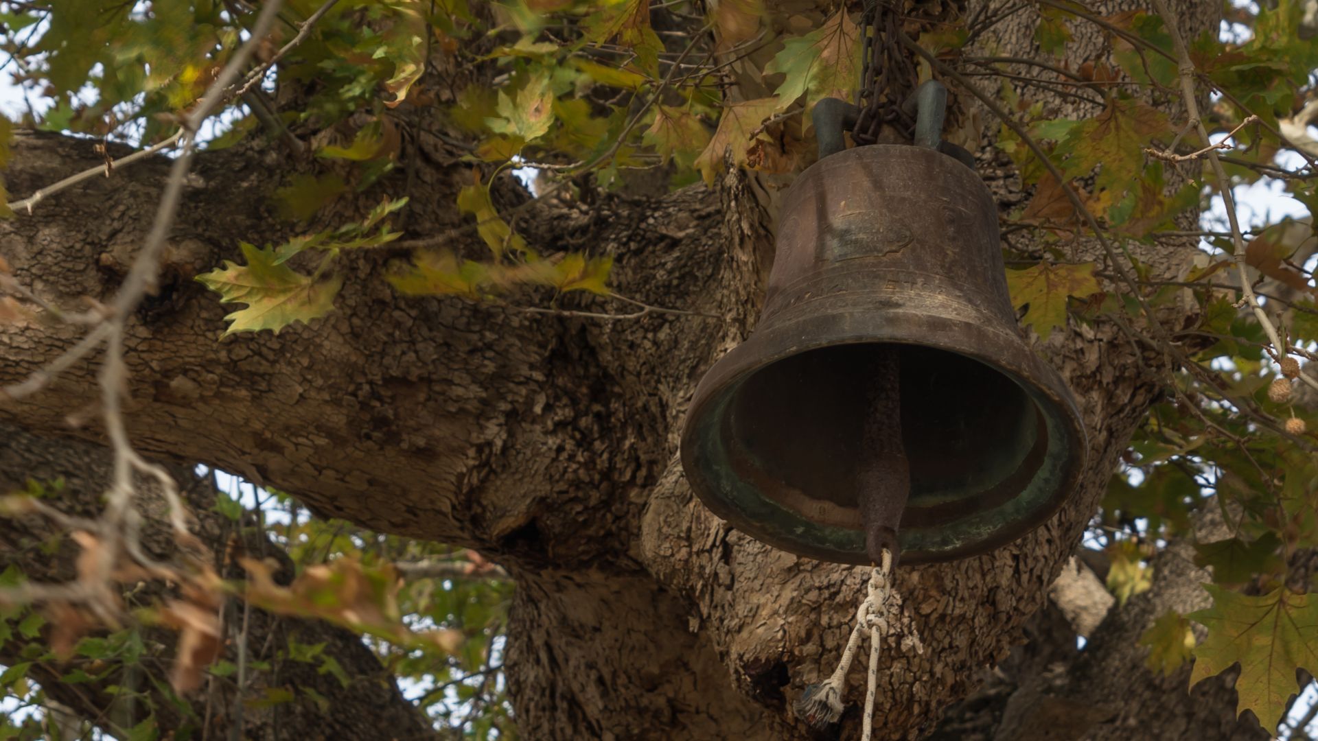 The bell (in a tree) of the church of Agios Demetrios in Avlonari, Euboea, Greece.