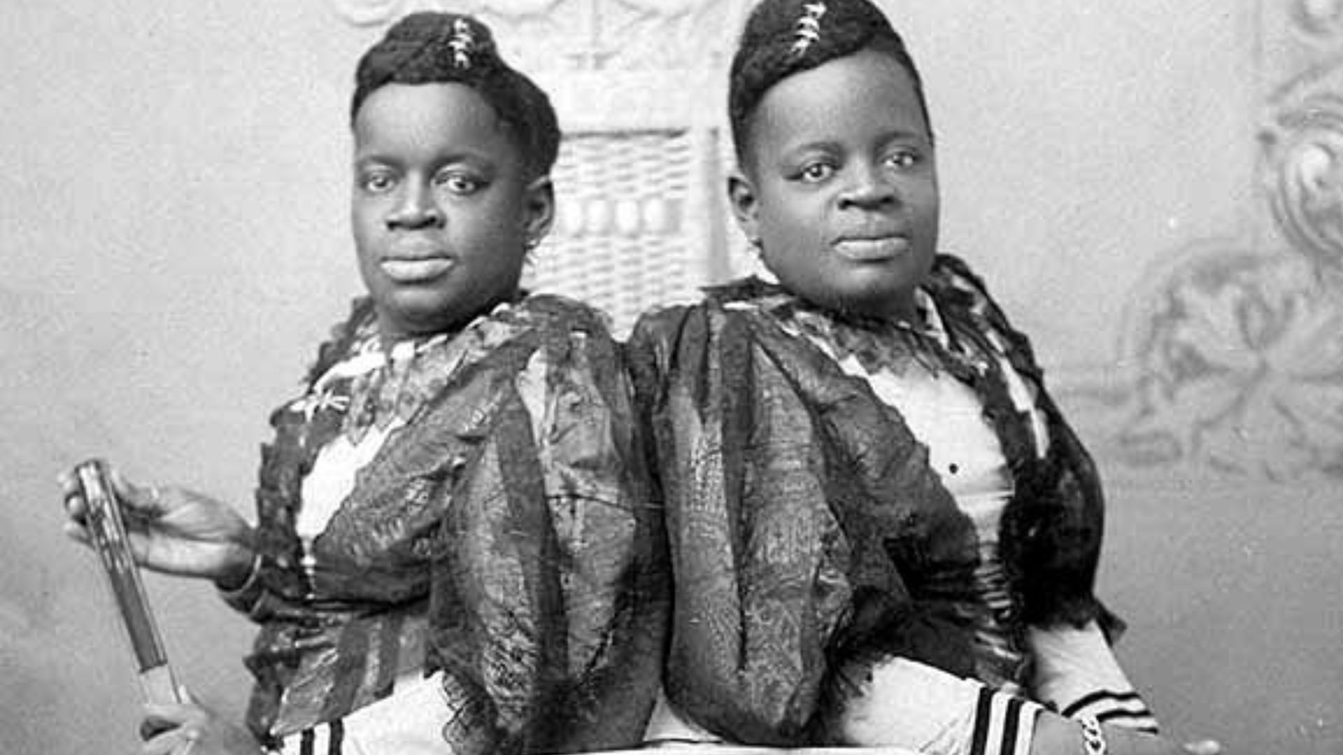 Original, early to mid-1890s era cabinet photo of conjoined twins Millie and Christine McCoy. Most likely while they were on tour in California, this image was taken by photographer Michael A. Wesner of Los Angeles.