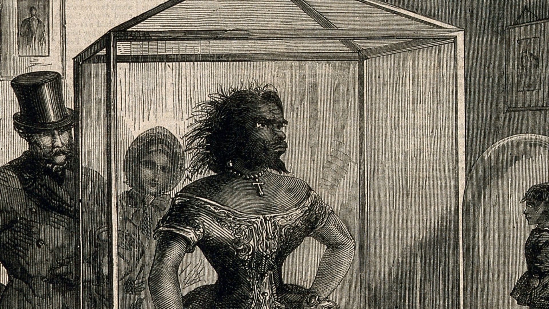 Julia Pastrana, a bearded lady, embalmed. Wood engraving, 1862.

Iconographic Collections
Keywords: portrait prints; Julia Pastrana; Hypertrichosis; wood engravings; pastrana, julia, d. 1860