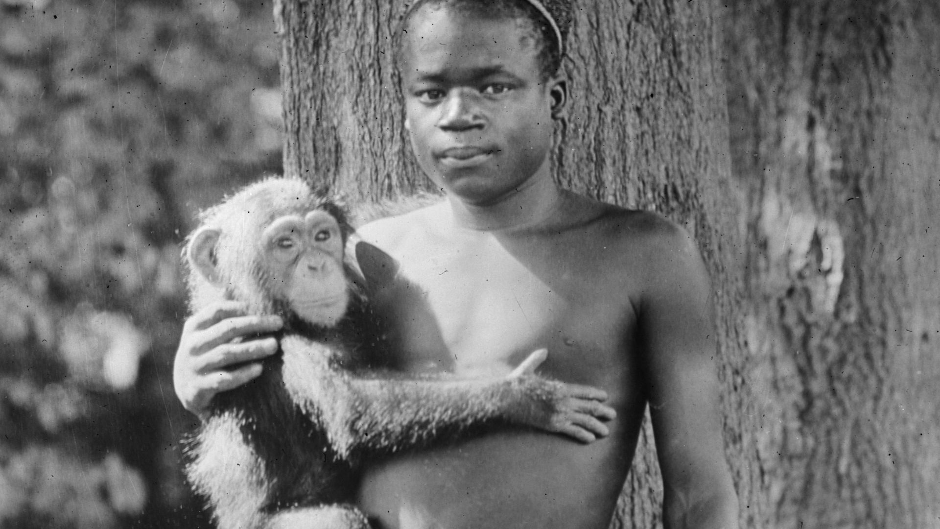 1906 photograph of Ota Benga, described as being taken at Bronx Zoo. Author unknown.