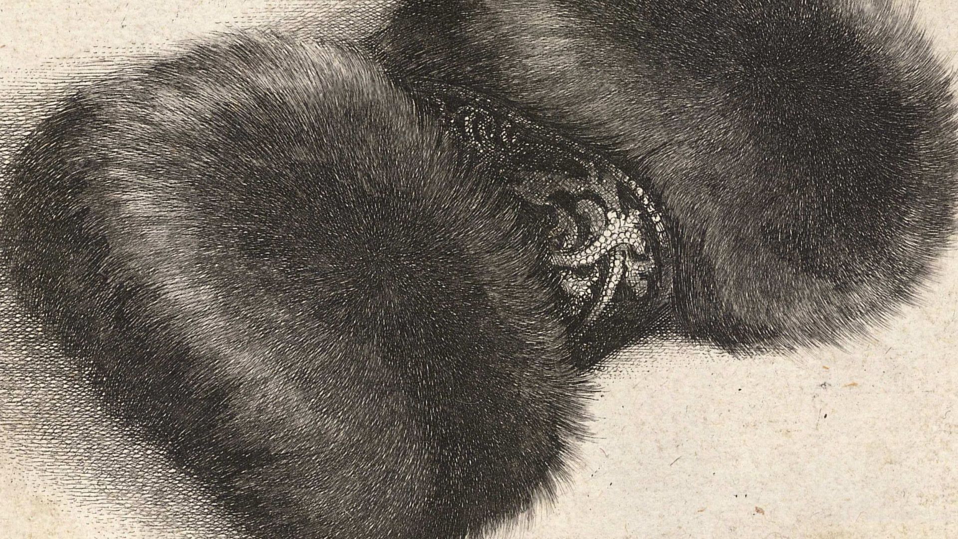 File:Wenceslas Hollar - Fur muff with brocade.jpg