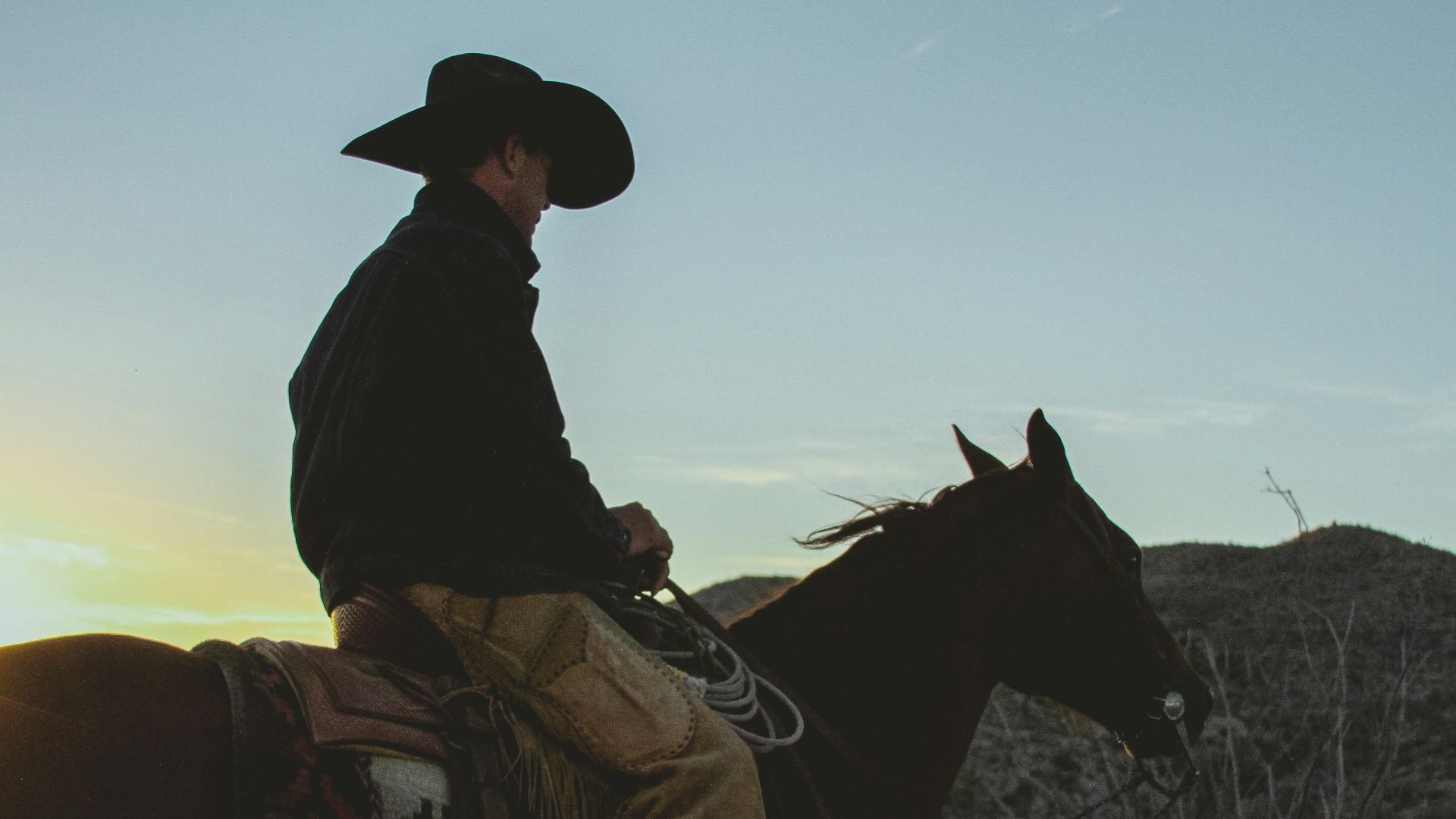 a man riding on the back of a brown horse
