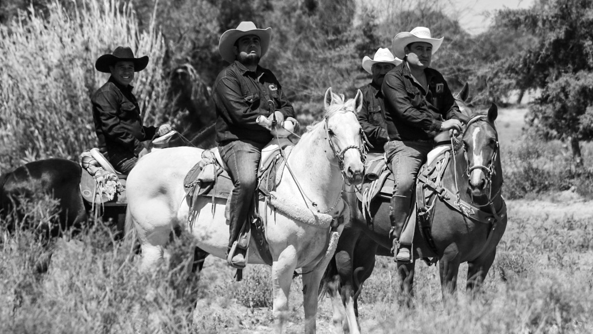 Cowboys ride horses in a grassy rural field, showcasing an authentic western lifestyle.