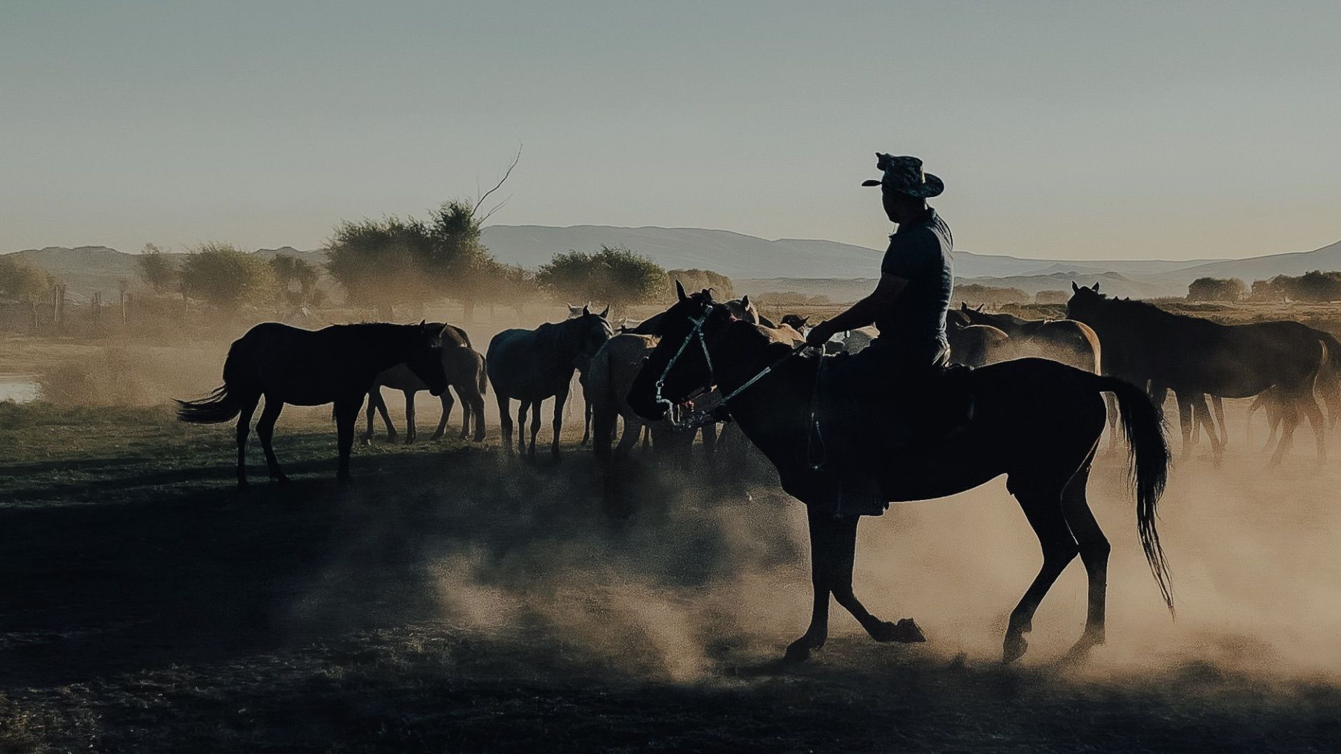 Dramatic silhouette of a cowboy on horseback riding through a dusty field at dusk.