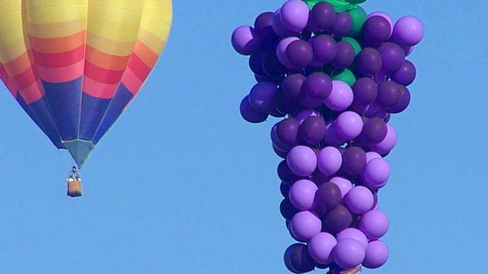 Image title: Balloons hot air cluster sky
Image from Public domain images website, http://www.public-domain-image.com/full-image/sport-public-domain-images-pictures/hot-air-ballooning-public-domain-images-pictures/balloons-hot-air-cluster-sky.jpg.html
