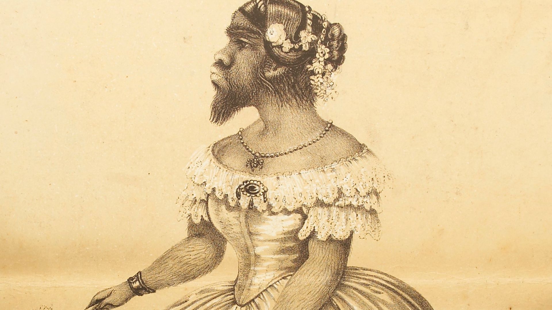 File:Julia Pastrana,