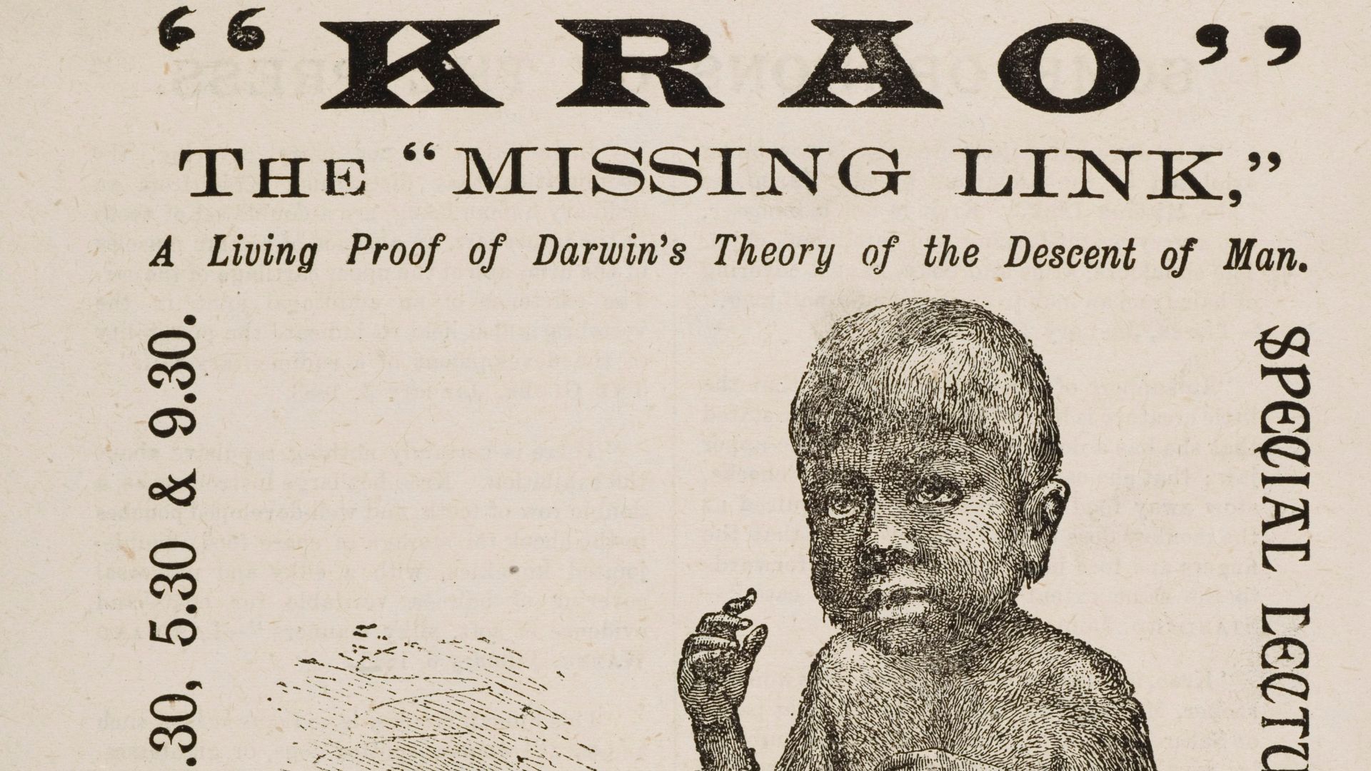 File:Krao, the missing link. Wellcome L0047971.jpg