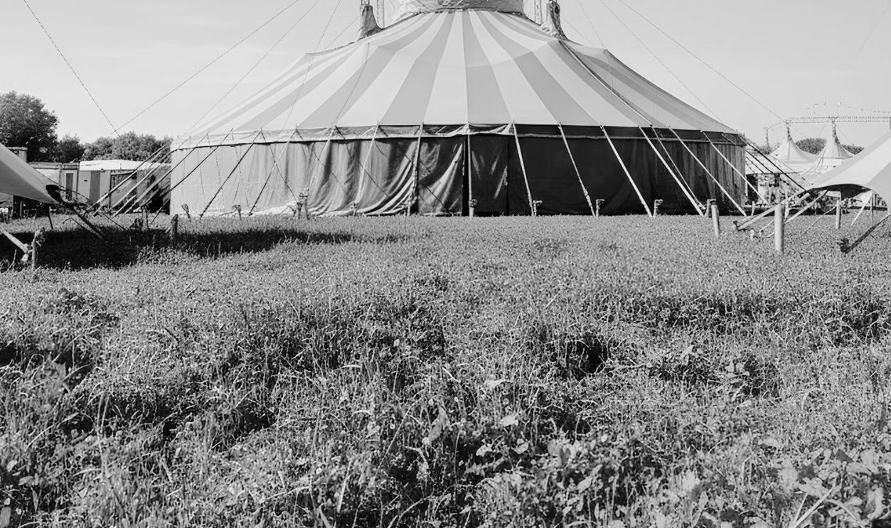 A large red and white circus tent set in a green field under a clear sky.