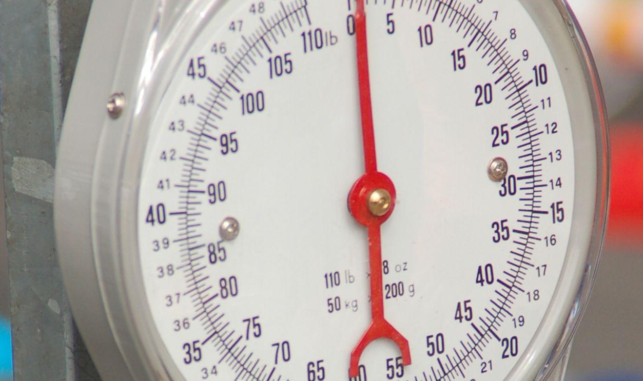 Close-up of a precision hanging scale with a metal hook for measuring weight accurately
