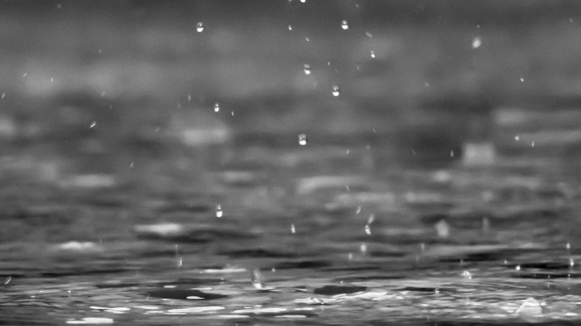 grayscale photography of raindrops