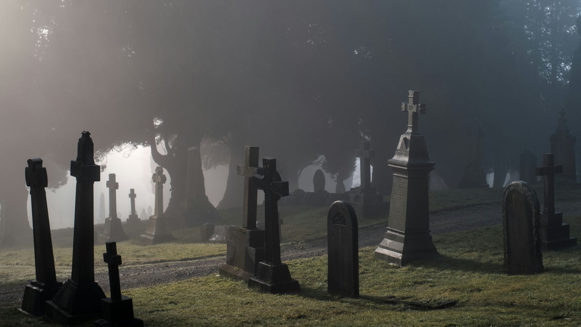 a foggy graveyard with tombstones in the foreground