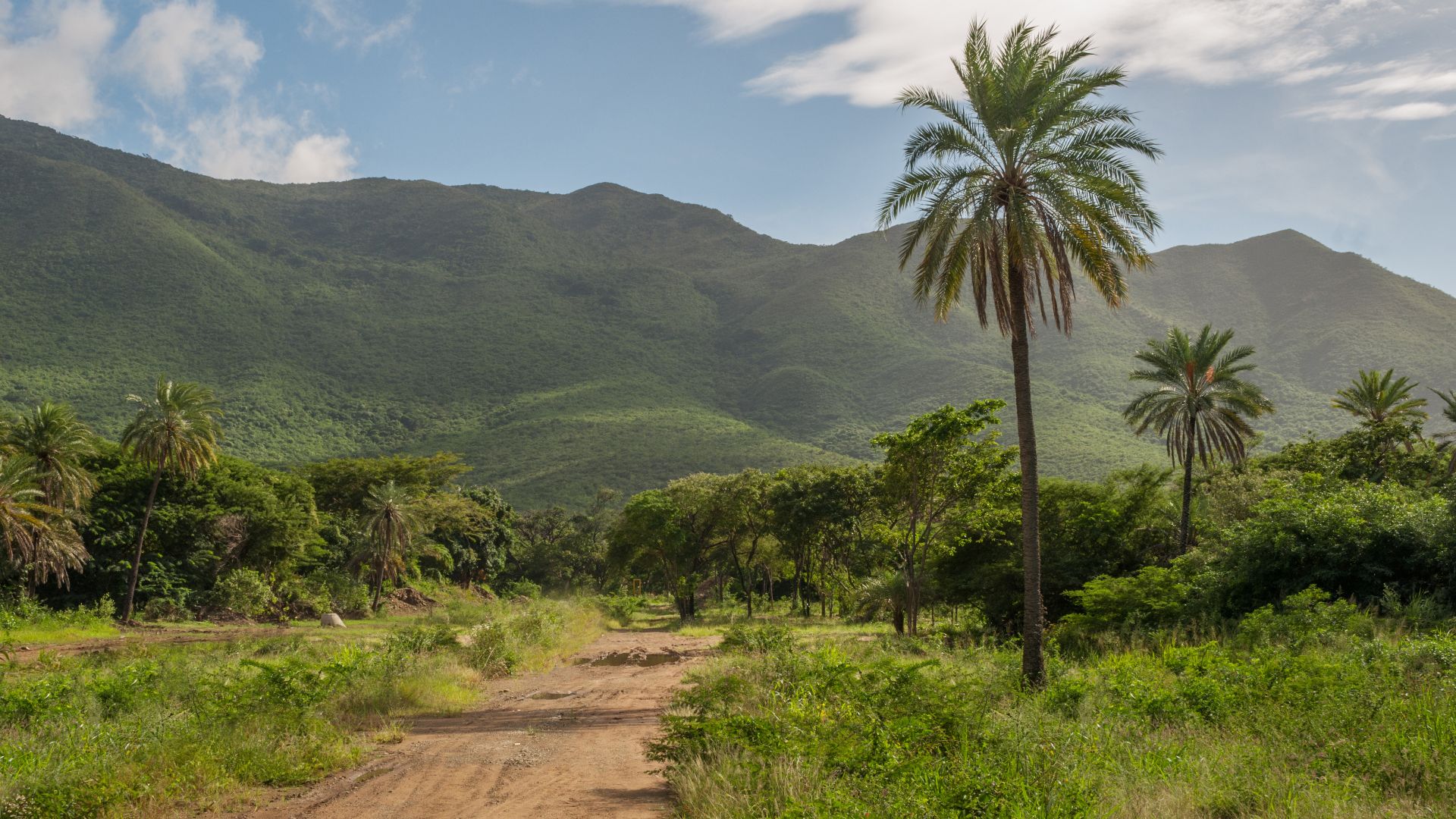 San Juan Bautista Valley is located on Isla Margarita on the hillside Copey (La Sierra) at a height of 1,000 meters above sea level. Because of its mild climate and its quiet mountain town has the slogan Silence laborious and evergreen