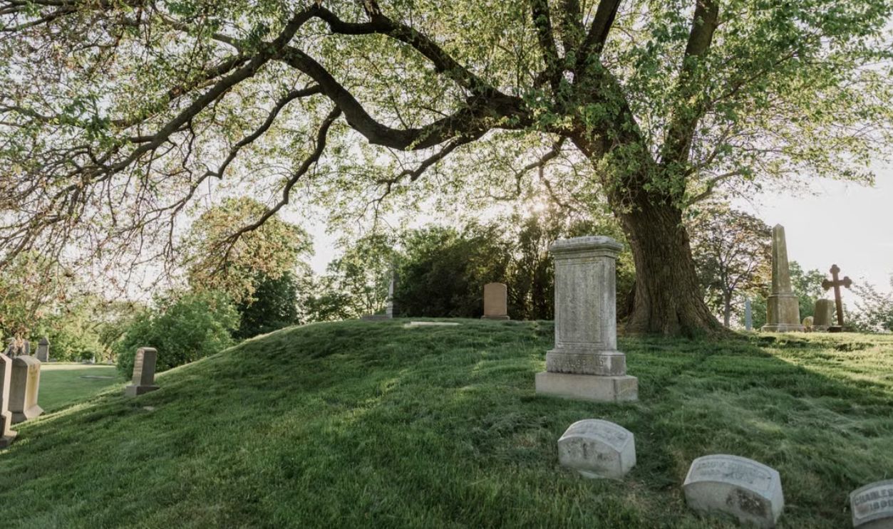 Peaceful cemetery scene with tombstones under a large tree, showcasing nature and tranquility