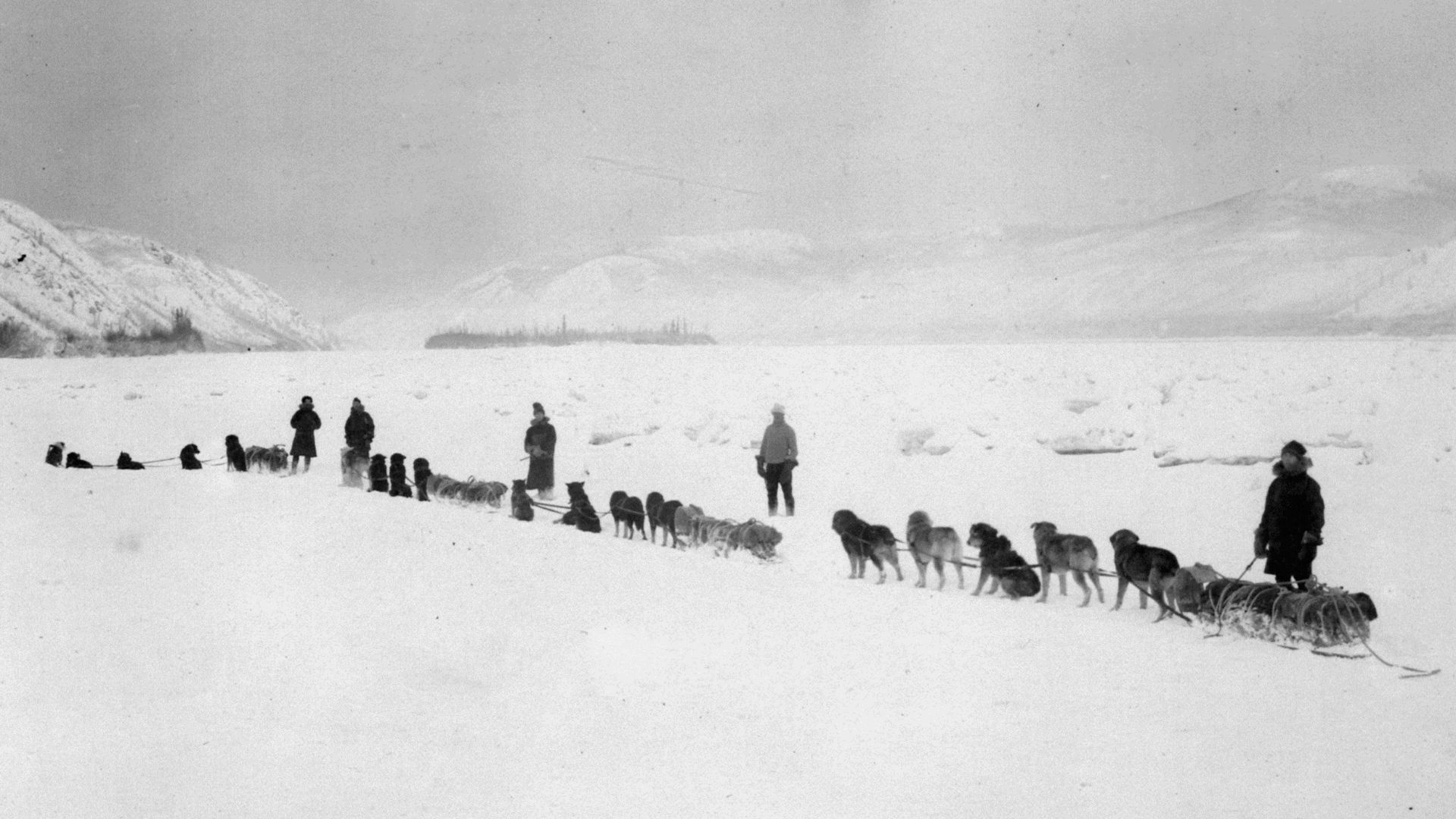 Royal North West Mounted Police patrol Dawson to Herschel December 27, 1909 No 1 (HS85-10-22038) - cleaned; patrol was led by Constable W. J. Dempster and took 32 days to reach Fort McPherson