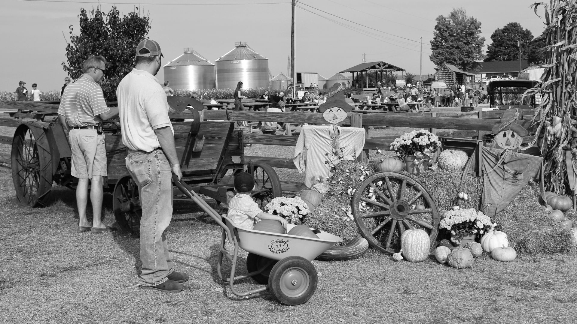 grayscale photography unknown person pushing wheelbarrow