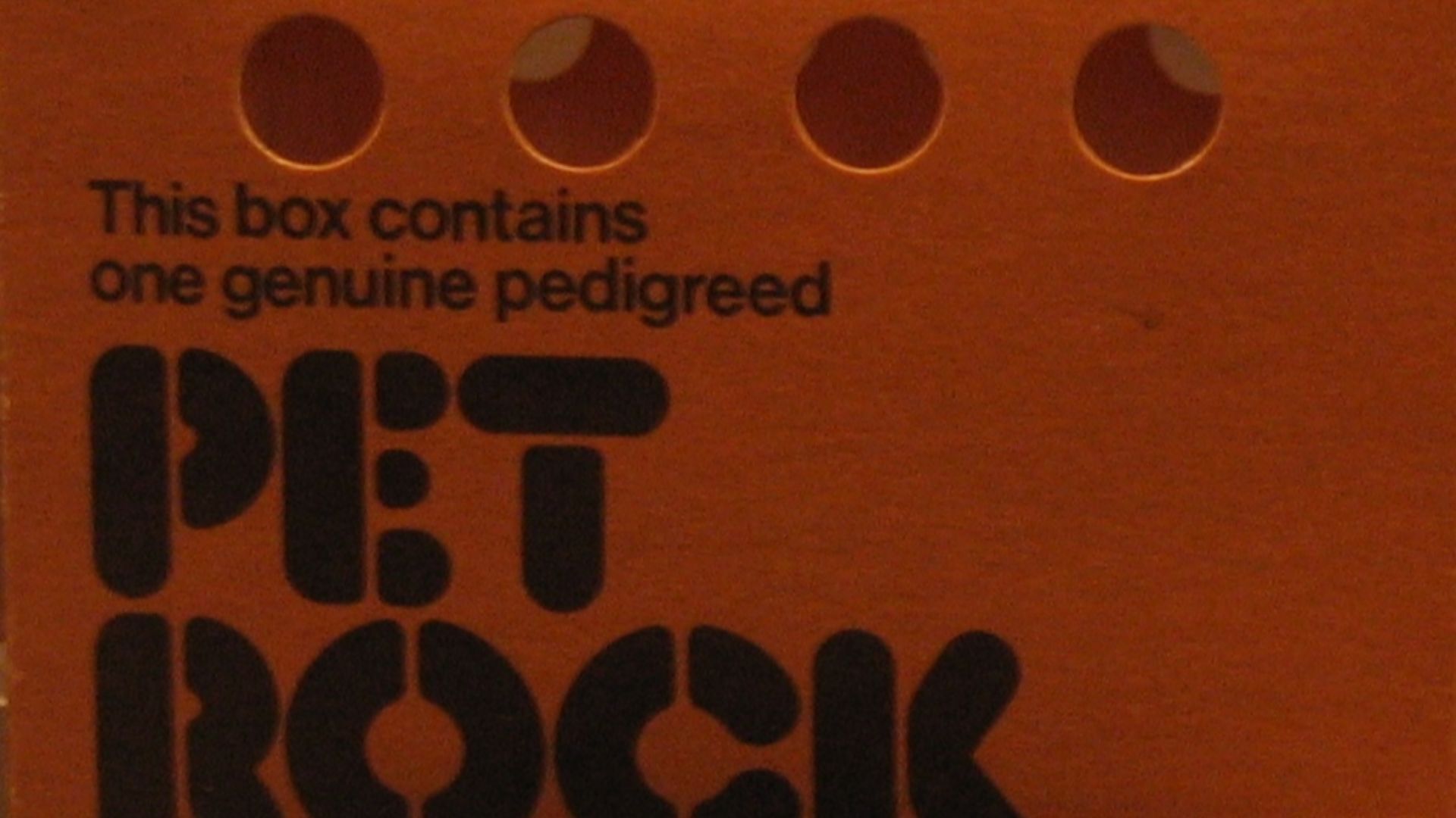 Cover of a Pet Rock box.