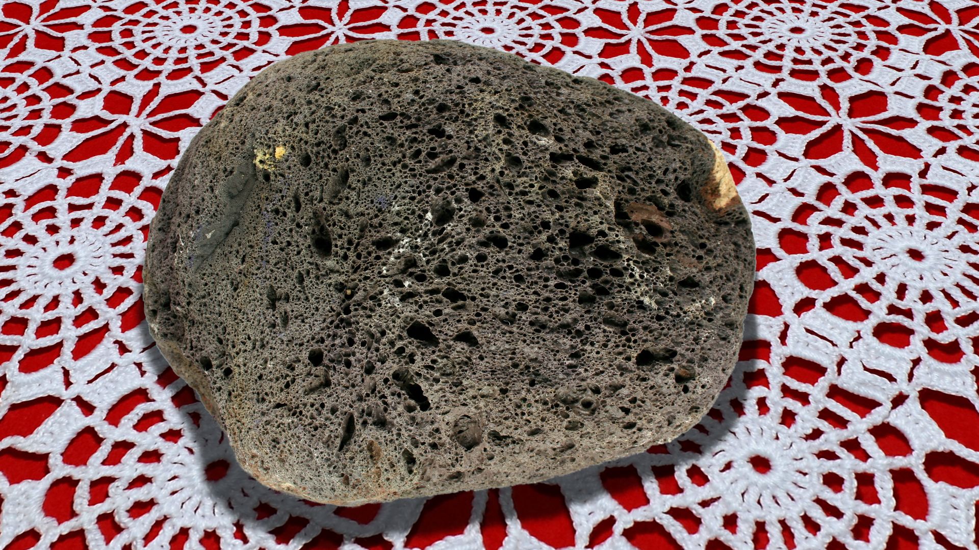 File:Pet Rock-2003.jpg