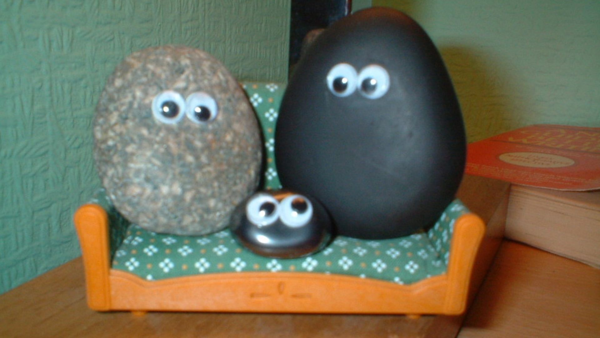 Image of imitation pet rocks. The original rocks had no eyes.