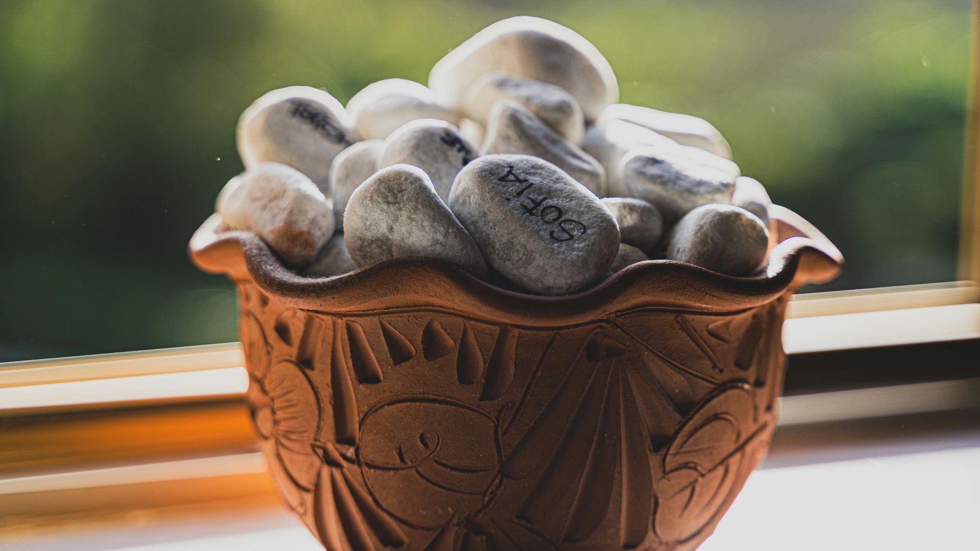 a bowl of mushrooms sitting on a window sill