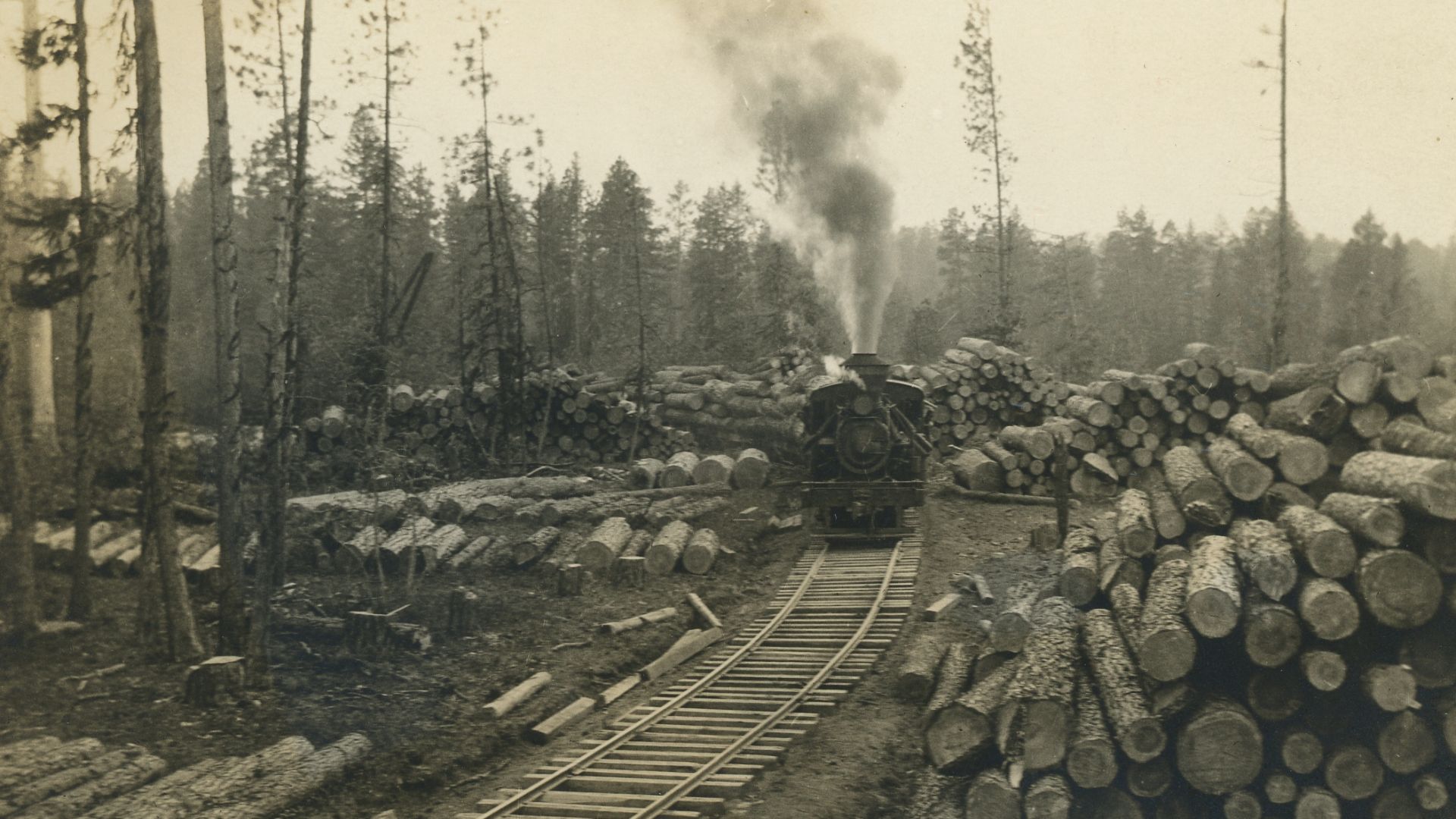 Craig Mountain Lumber Co. loading logs at
Winchester, Idaho.
Production Date: Circa 1912
Source Type: Postcard
Printer, Publisher, Photographer: AZO (#A)
Postmark: None
Collection: Steven R. Shook
Remark: In 1909, a group of Wisconsin investors began the 