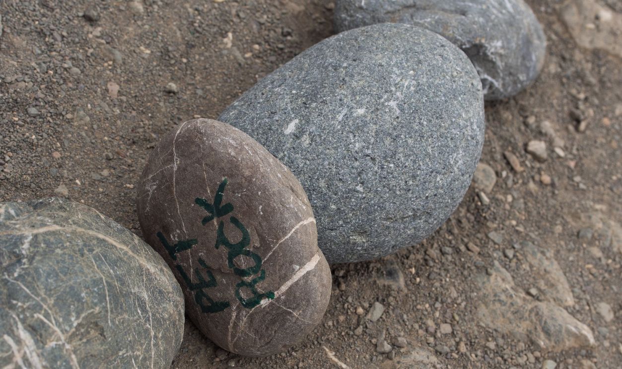 Pet Rock